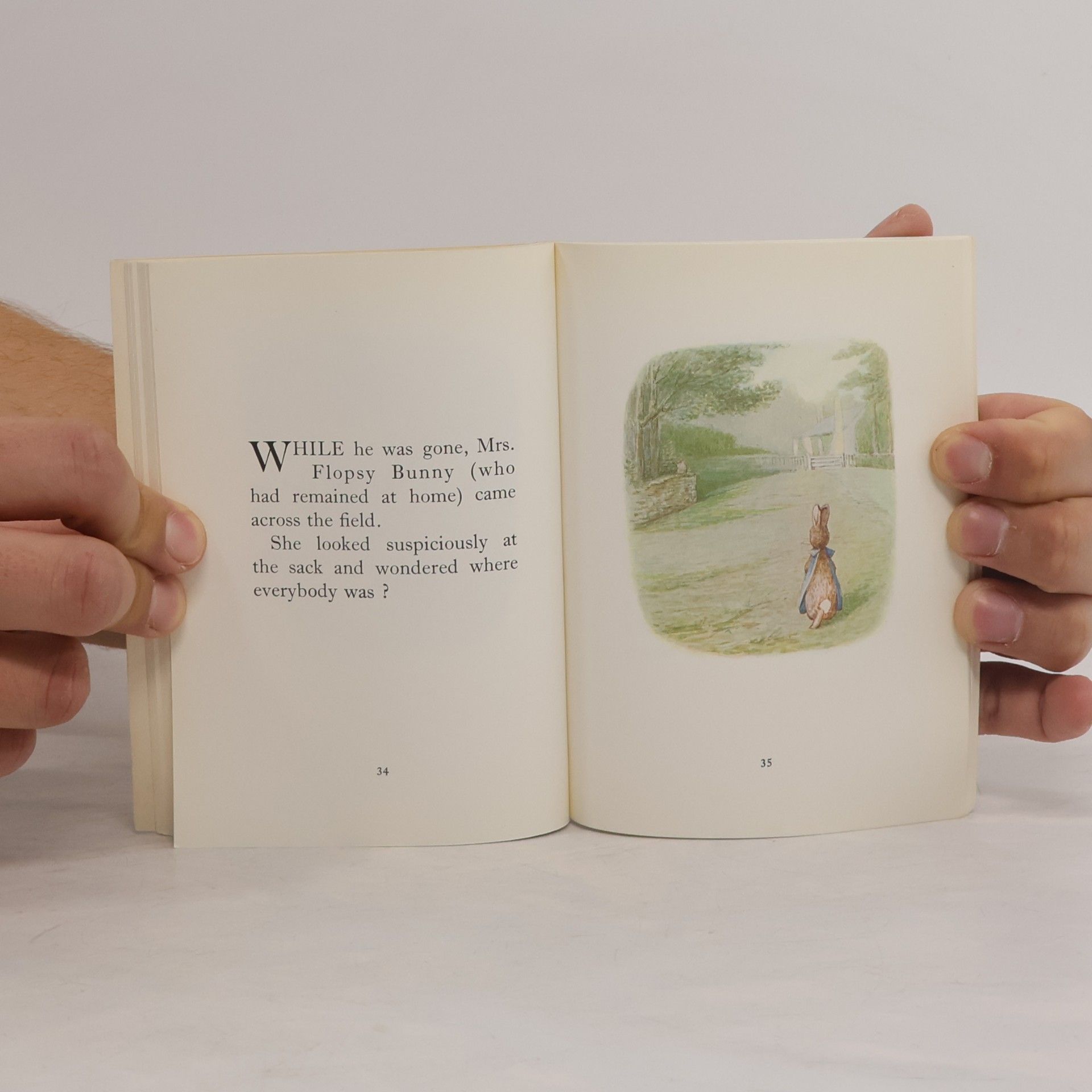 Beatrix Potter Beatrix Potter - 10: The Tale of the Flopsy Bunnies