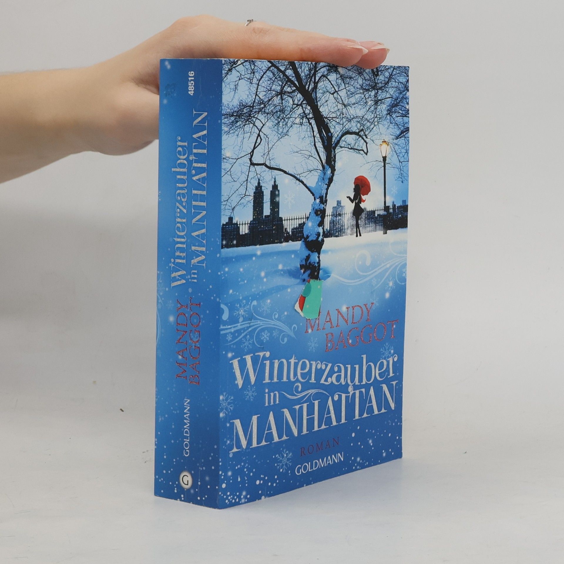 Mandy Baggot Winterzauber in Manhattan