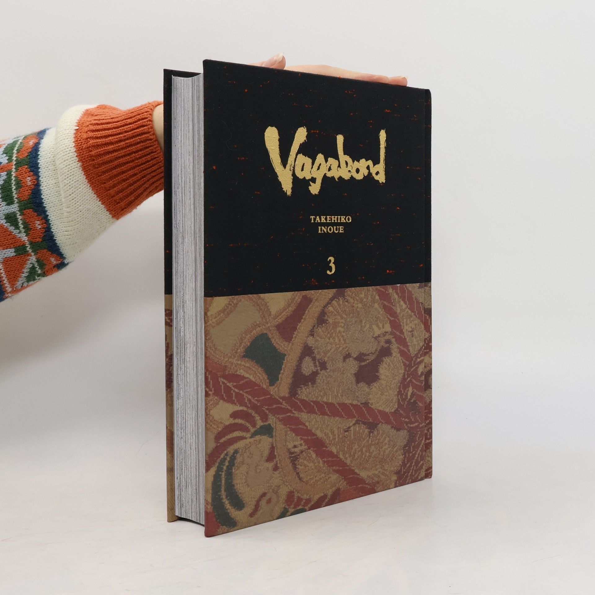 Vagabond Definitive Edition 3