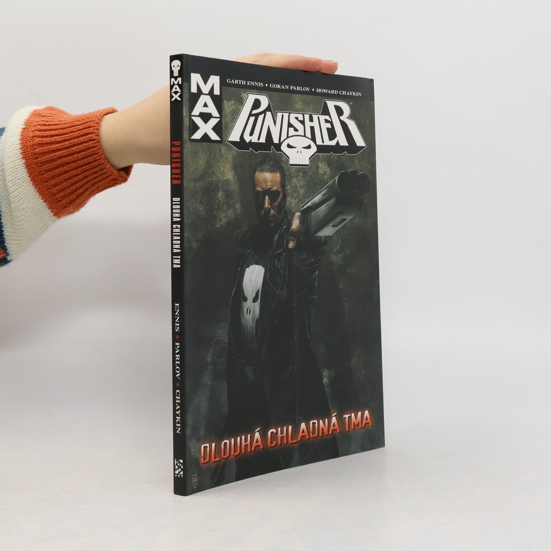 Punisher: Dlouhá chladná tma