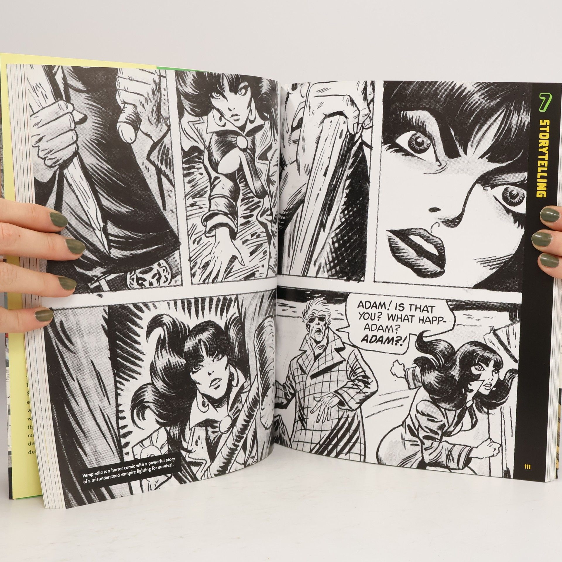 Stan Lee Stan Lee's How to Write Comics