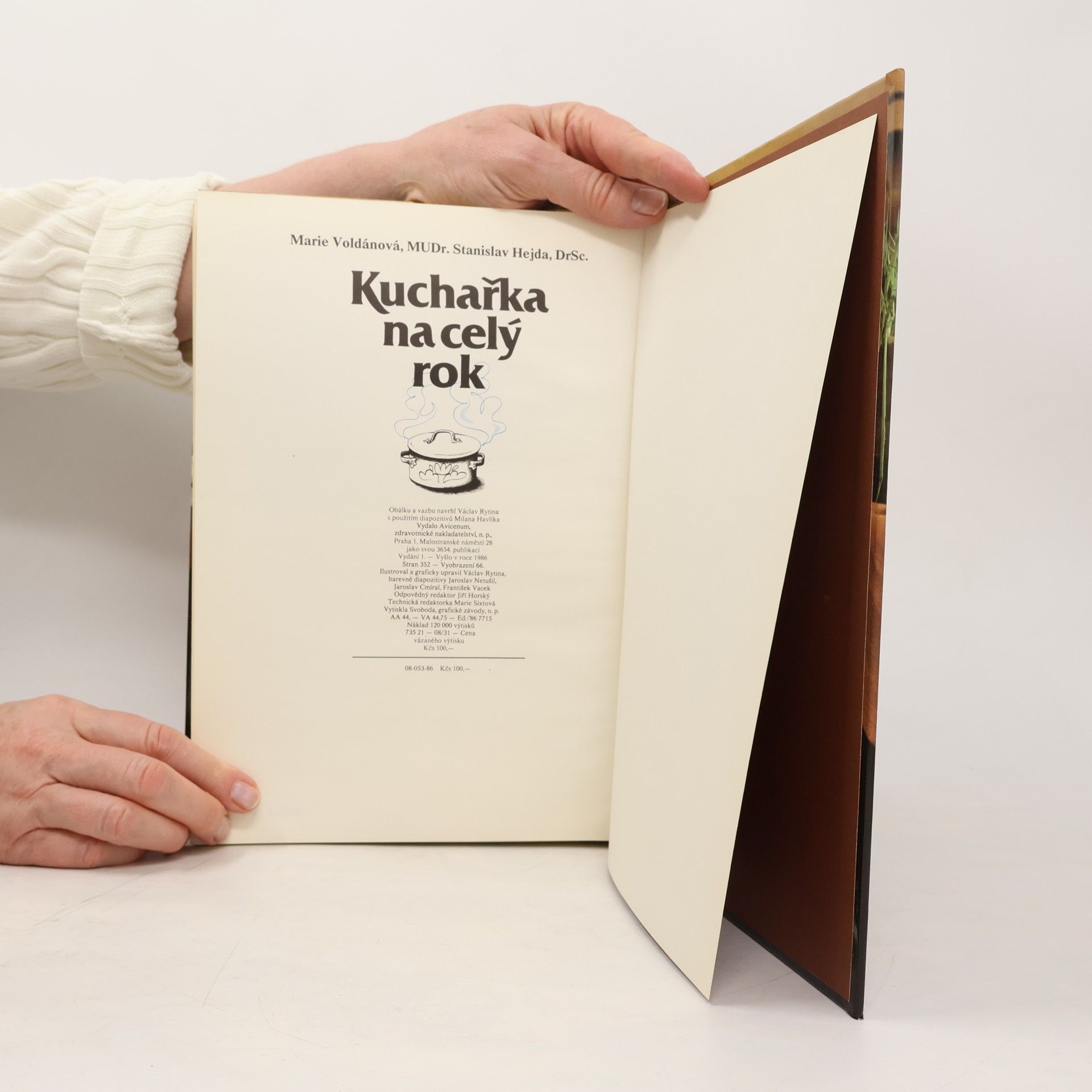 Marie Voldánová Kuchařka na celý rok