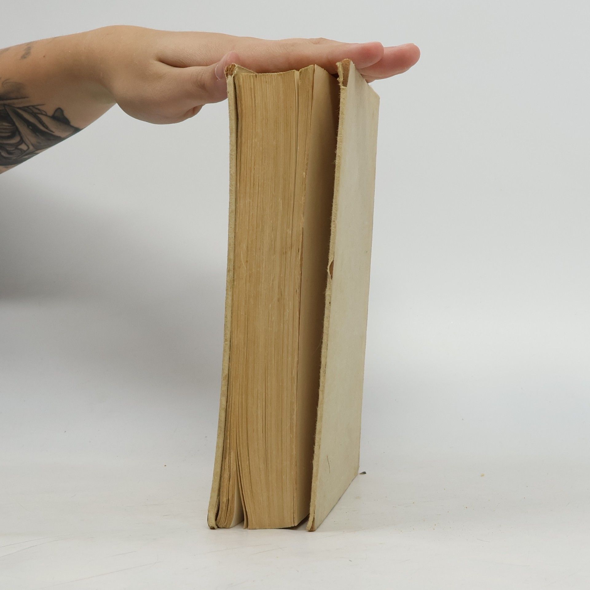 Arnold Zweig Topor z Wandsbeku