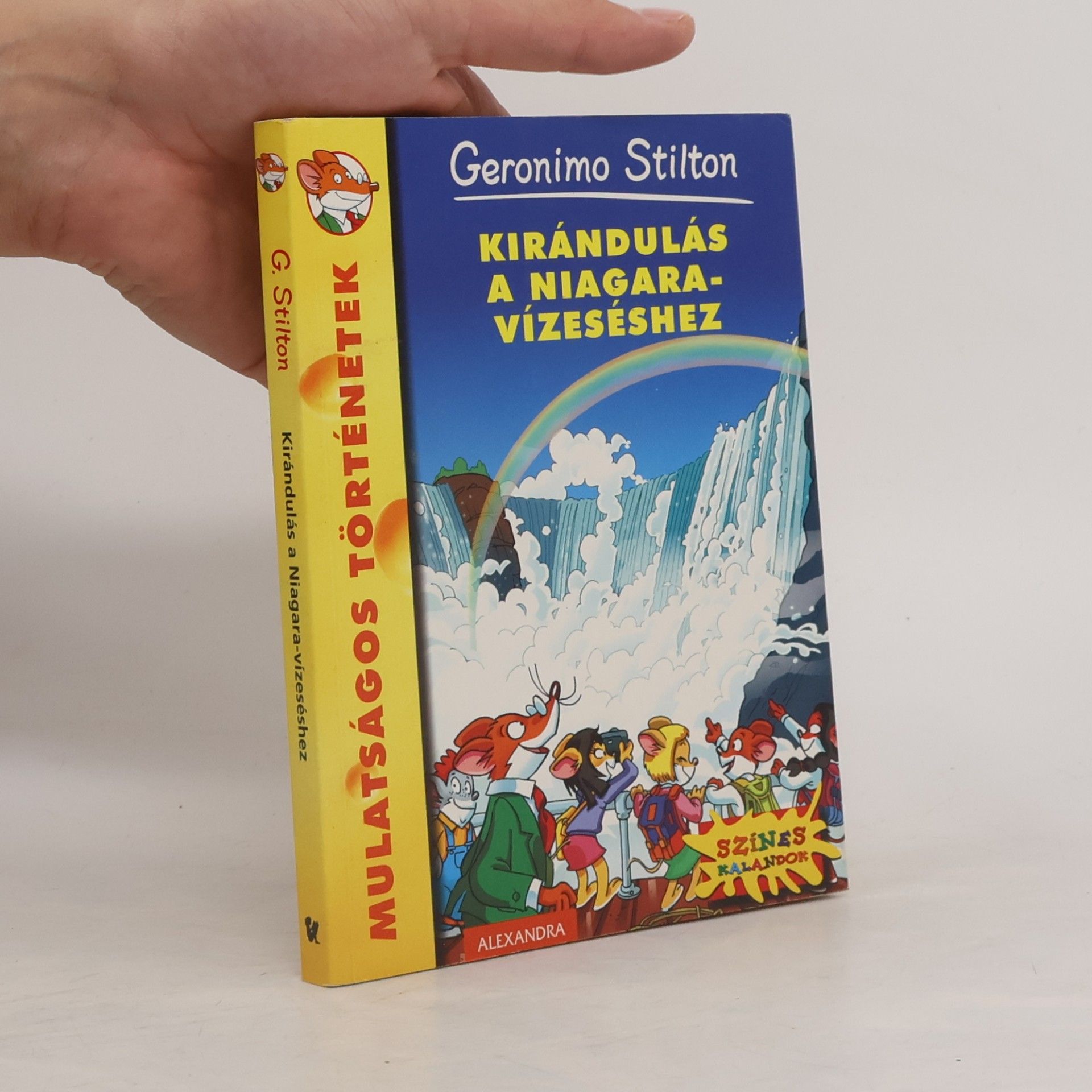 Elisabetta Dami Kirándulás a Niagara-vízeséshez