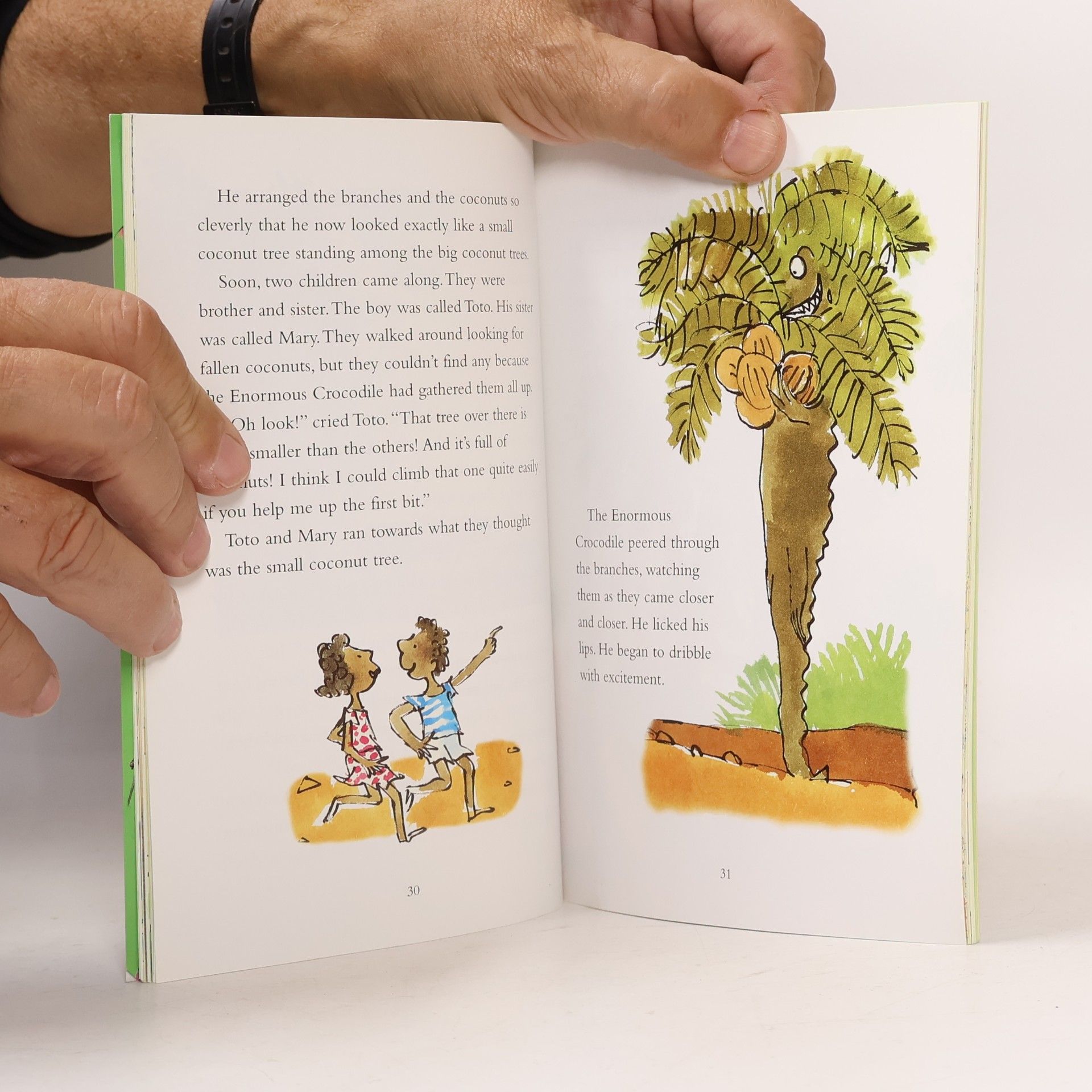 Roald Dahl The enormous crocodile