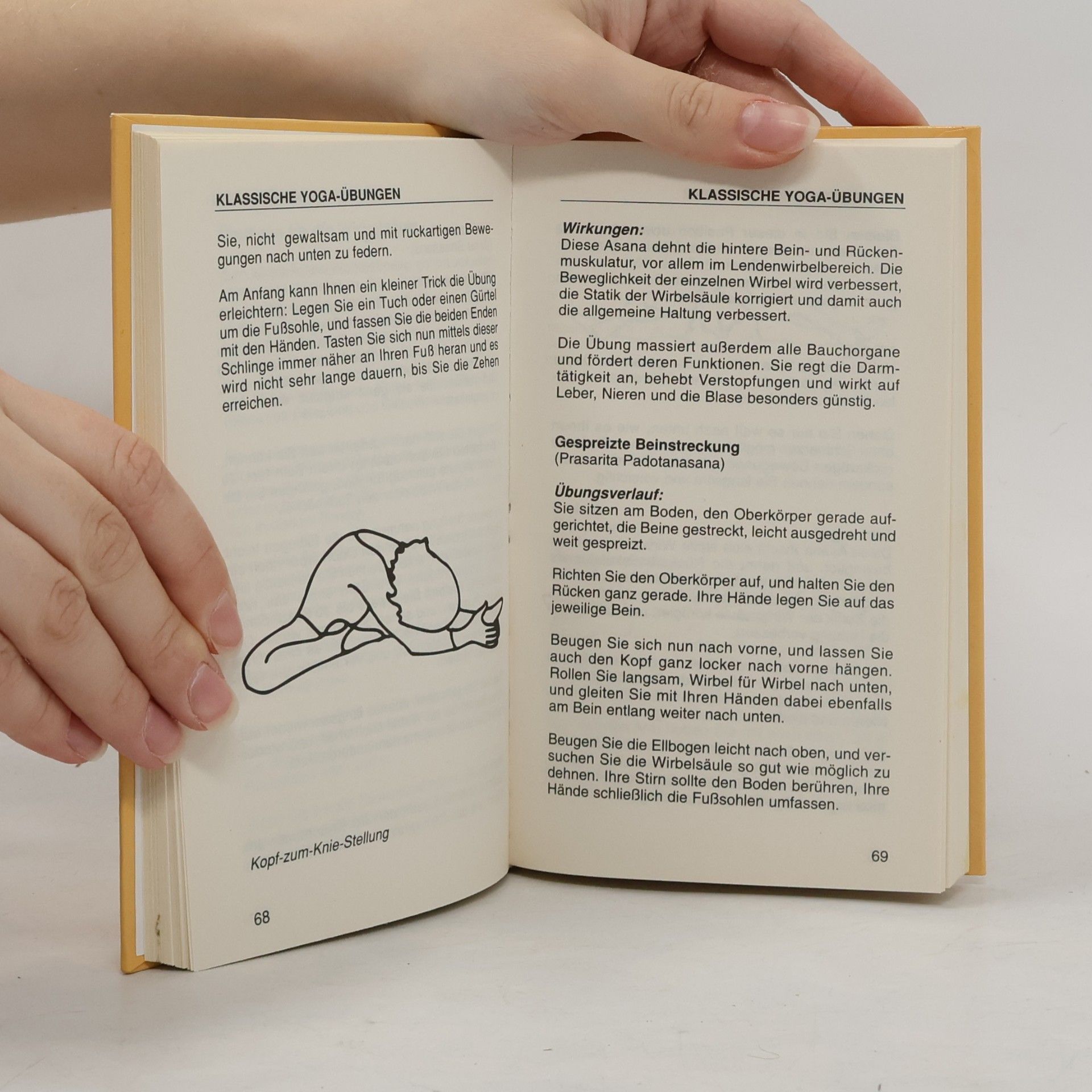Autorenkollektiv Neue Kraft durch Yoga