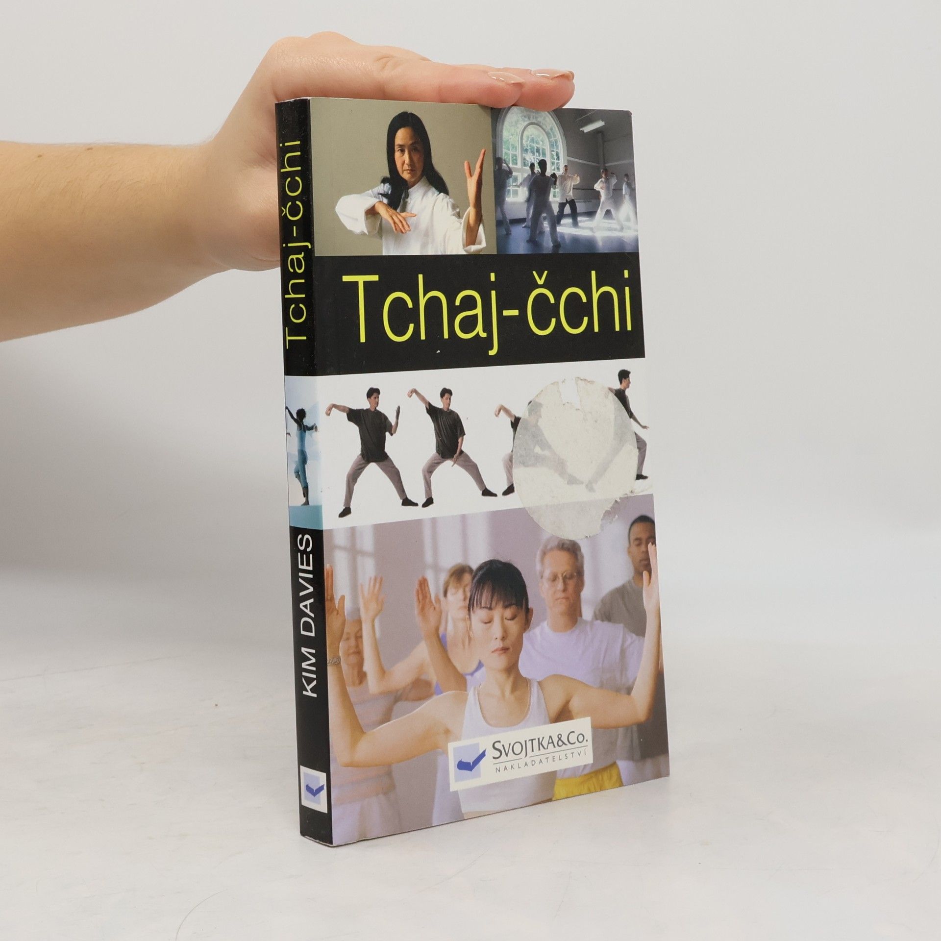 Kim Davies Tchai-čchi