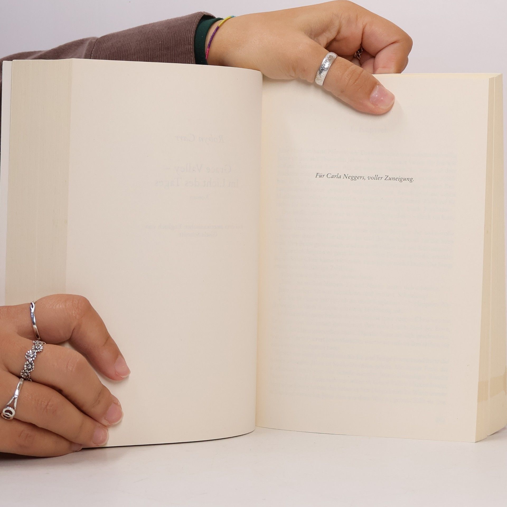 Robyn Carr Im Schutz des Morgens / Im Licht des Tages