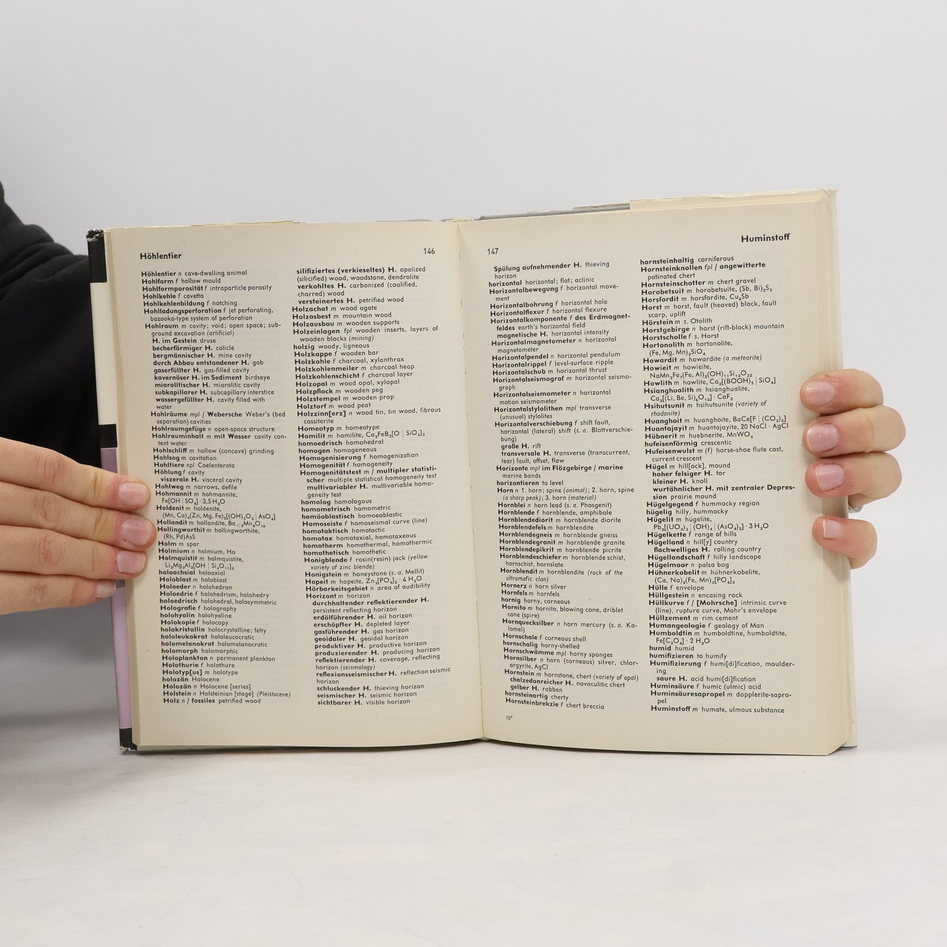 Hans-Jürgen Behr Technik-Wörterbuch: Geowissenschaften. Deutsch - Englisch