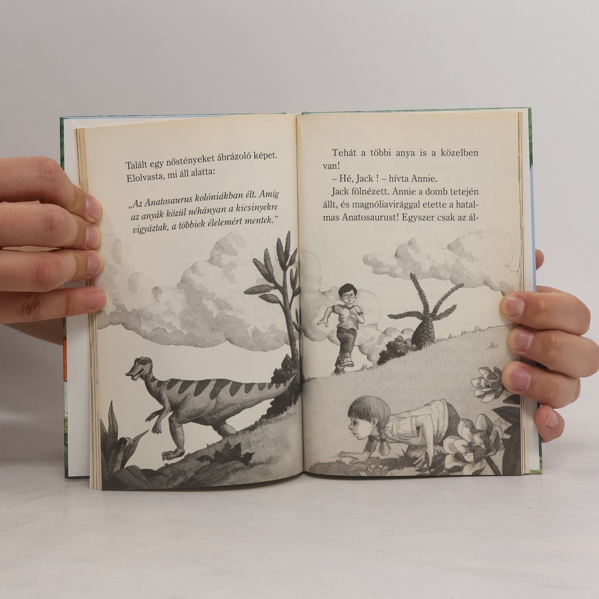 Mary Pope Osborne Dinoszauruszok ​földjén