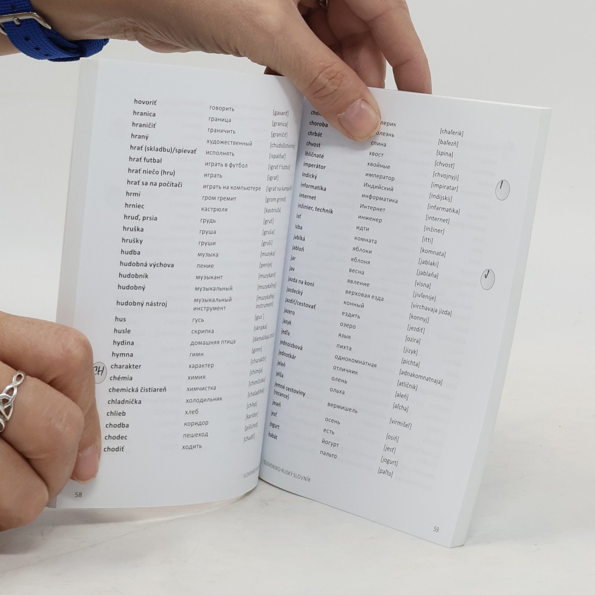 Collectif d'auteurs Rusko-slovenský a slovensko-ruský školský slovník