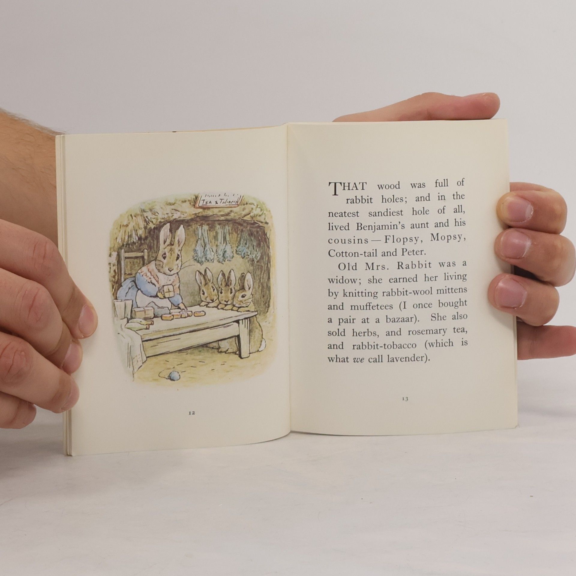 Beatrix Potter The Tale of Benjamin Bunny