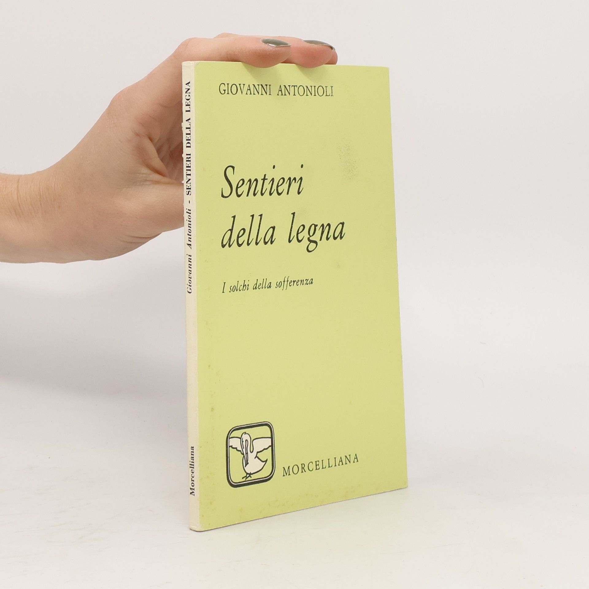 Sentieri della legna. I solchi della sofferenza