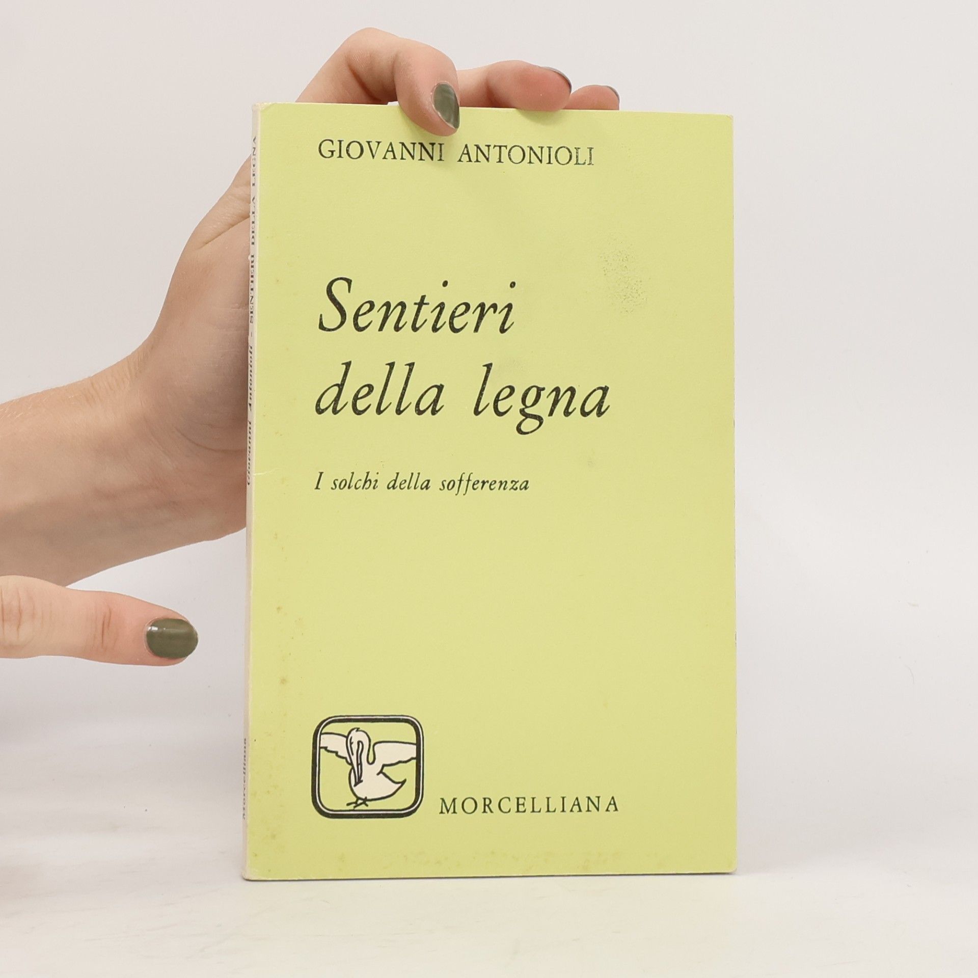 Giovanni Antonioli Sentieri della legna. I solchi della sofferenza