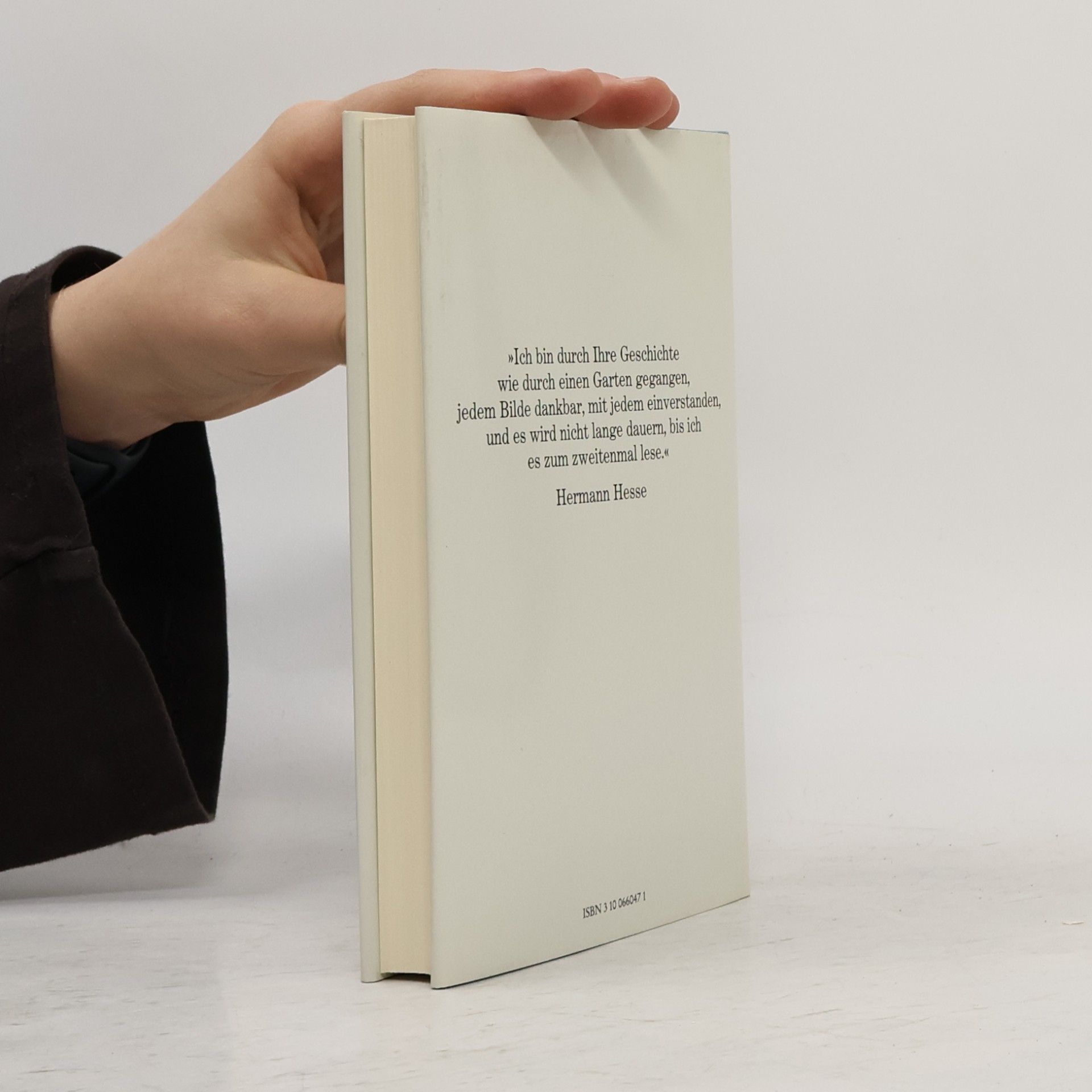 Luise Rinser Fischer Bibliothek: Die gläsernen Ringe