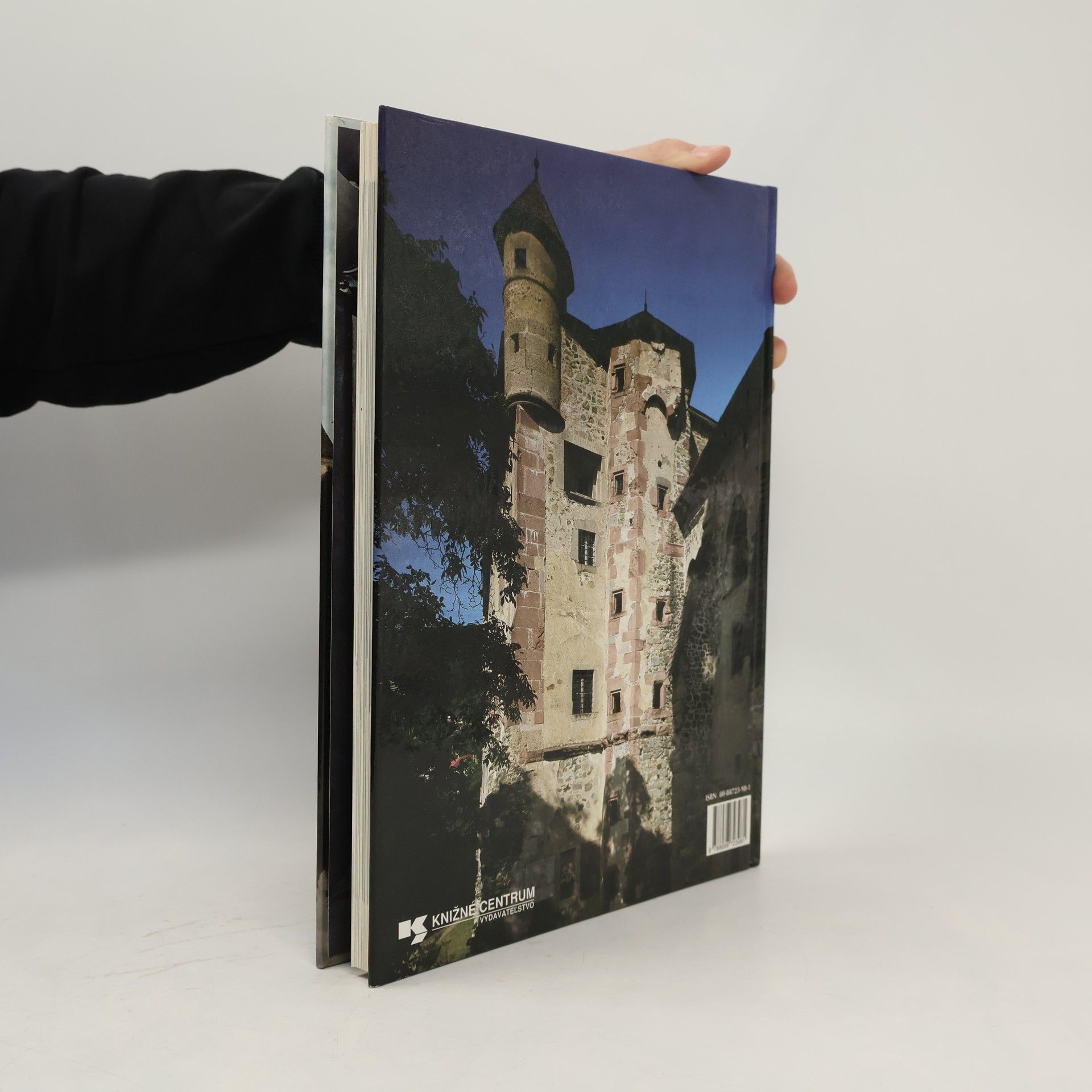 Eva Križanová Slovak castles, manors, and châteaux