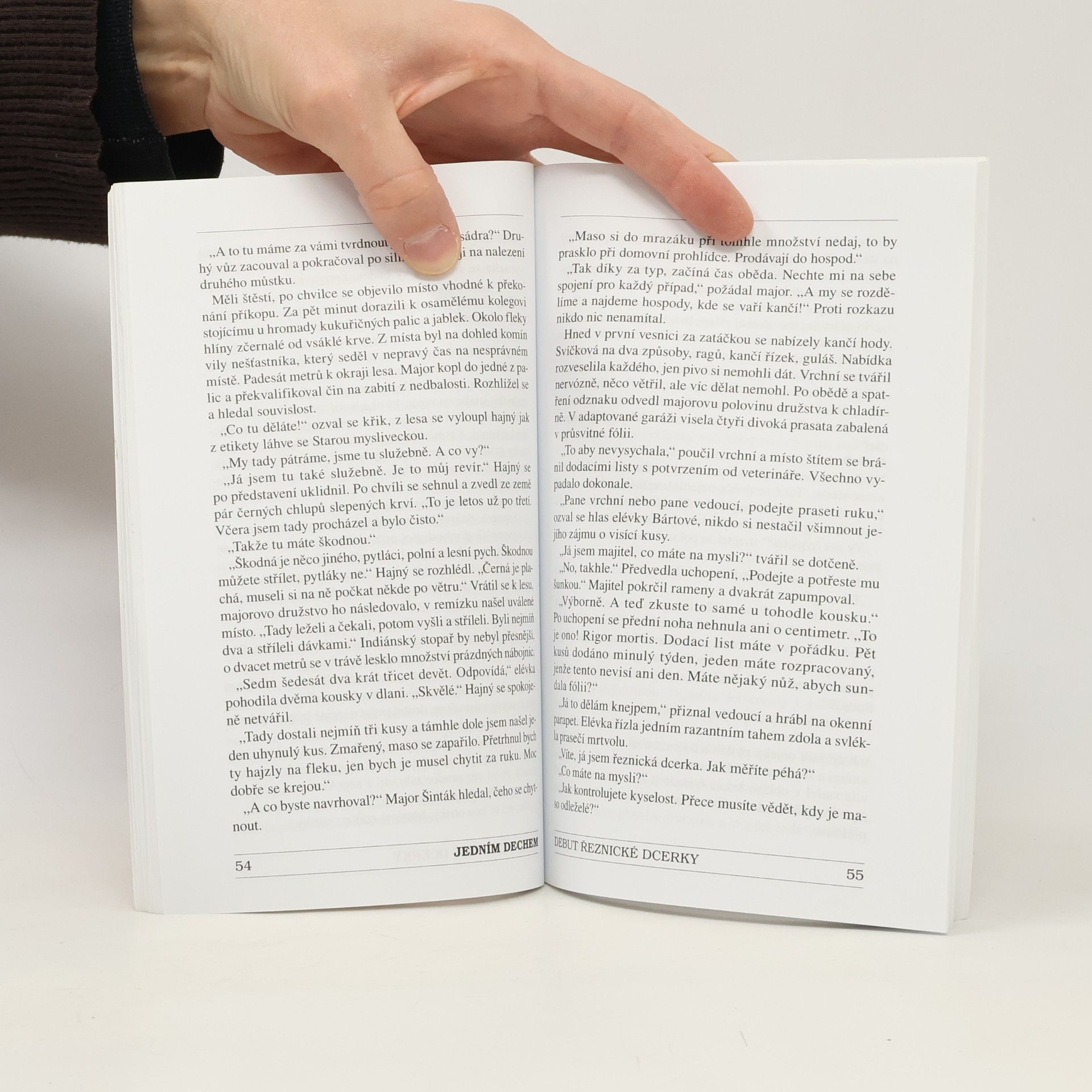 Autorenkollektiv Kdo má hodně, chce víc – a další krimi povídky