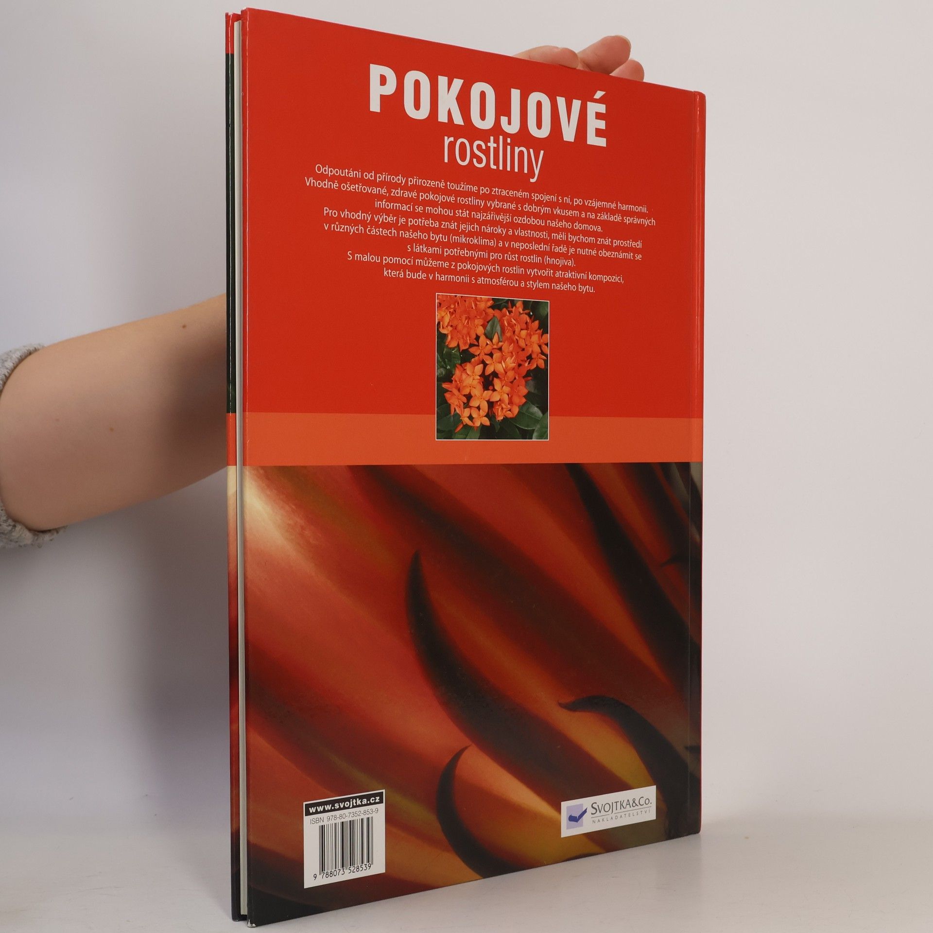 Árpád Nagy Pokojové rostliny