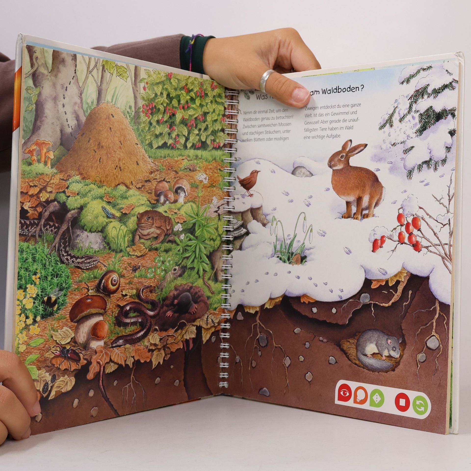 Various authors Komm mit in den Wald