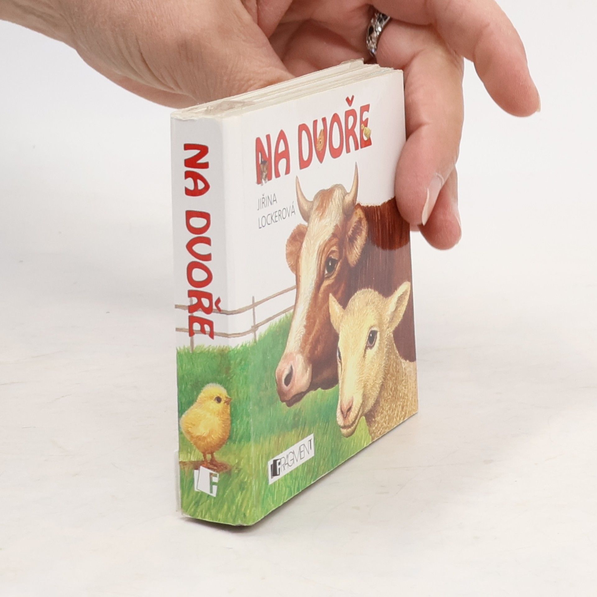 Jiřina Lockerová Na dvoře