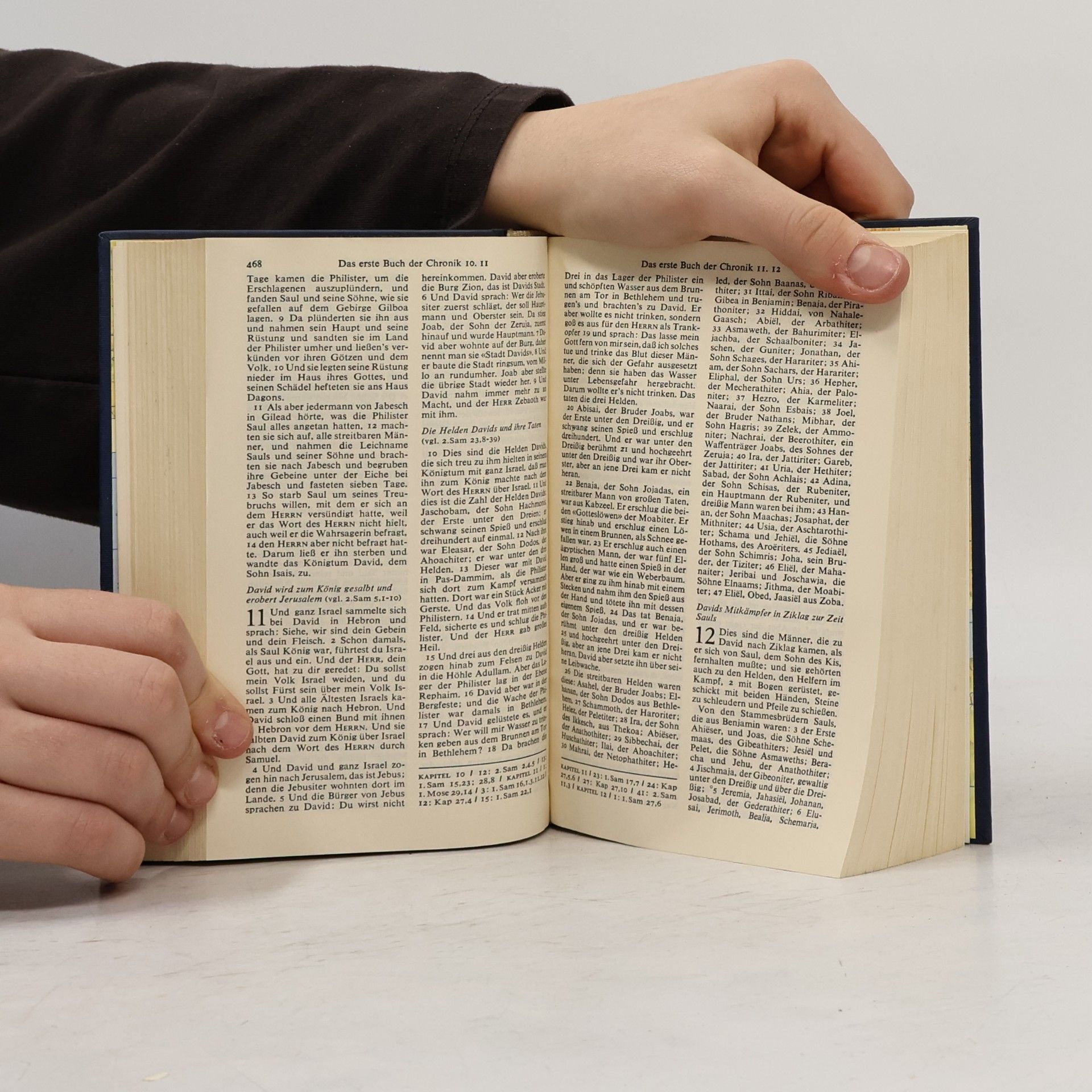 Martin Luthers Die Bibel