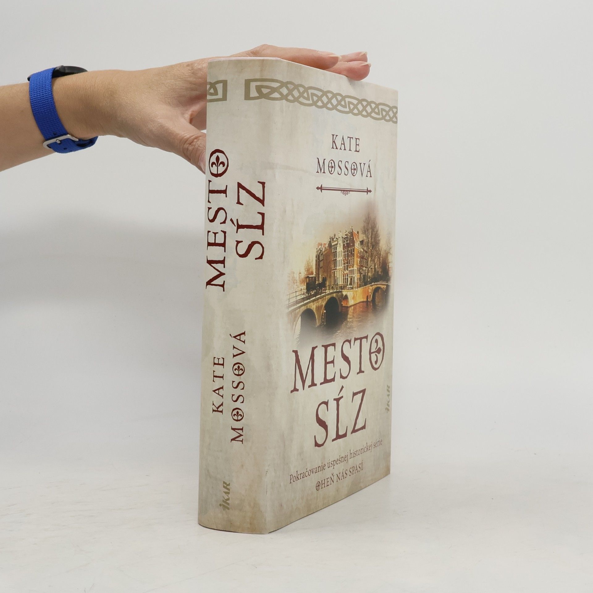 Mesto sĺz