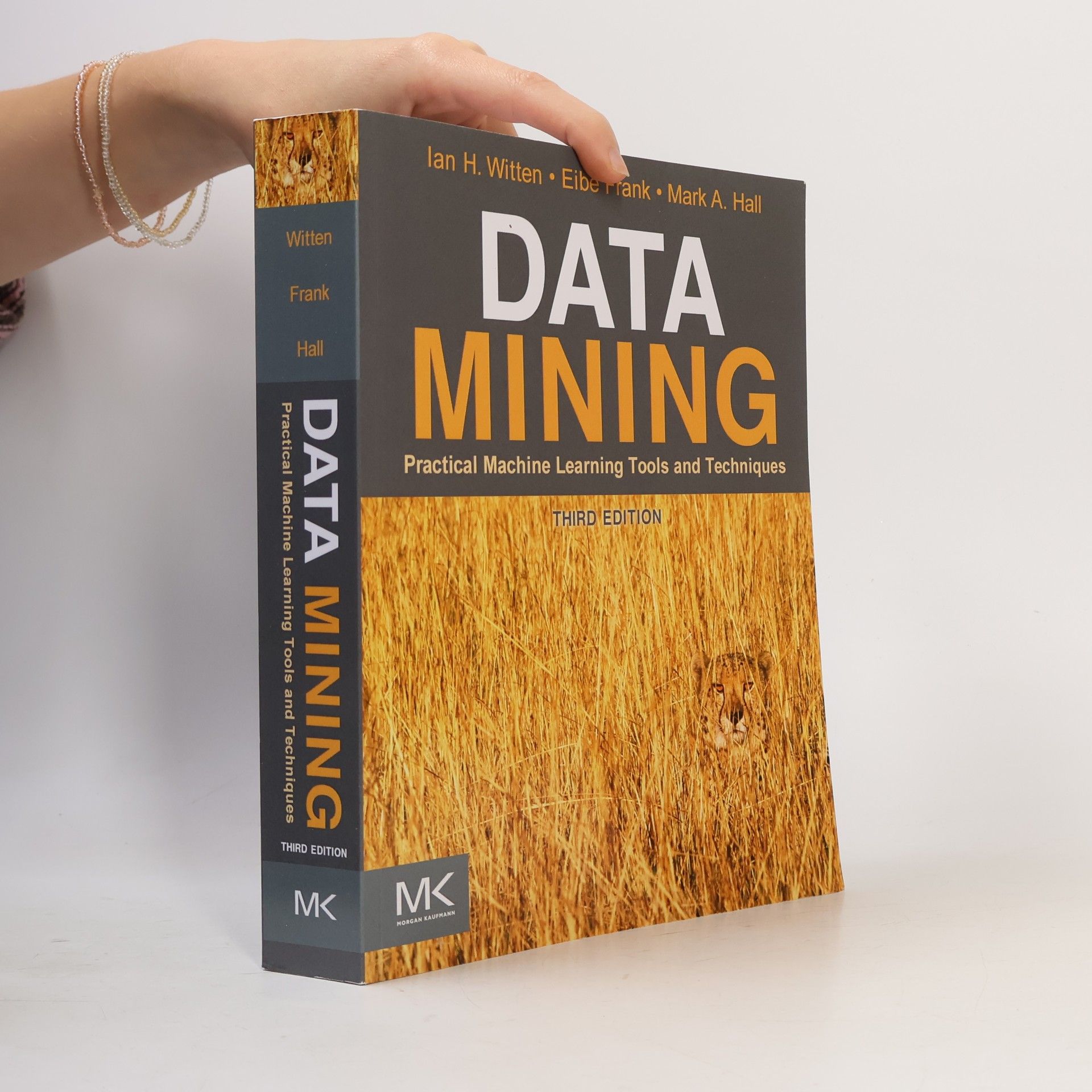 Kolektiv autorů Data Mining. Practical Machine Learning Tools and Techniques