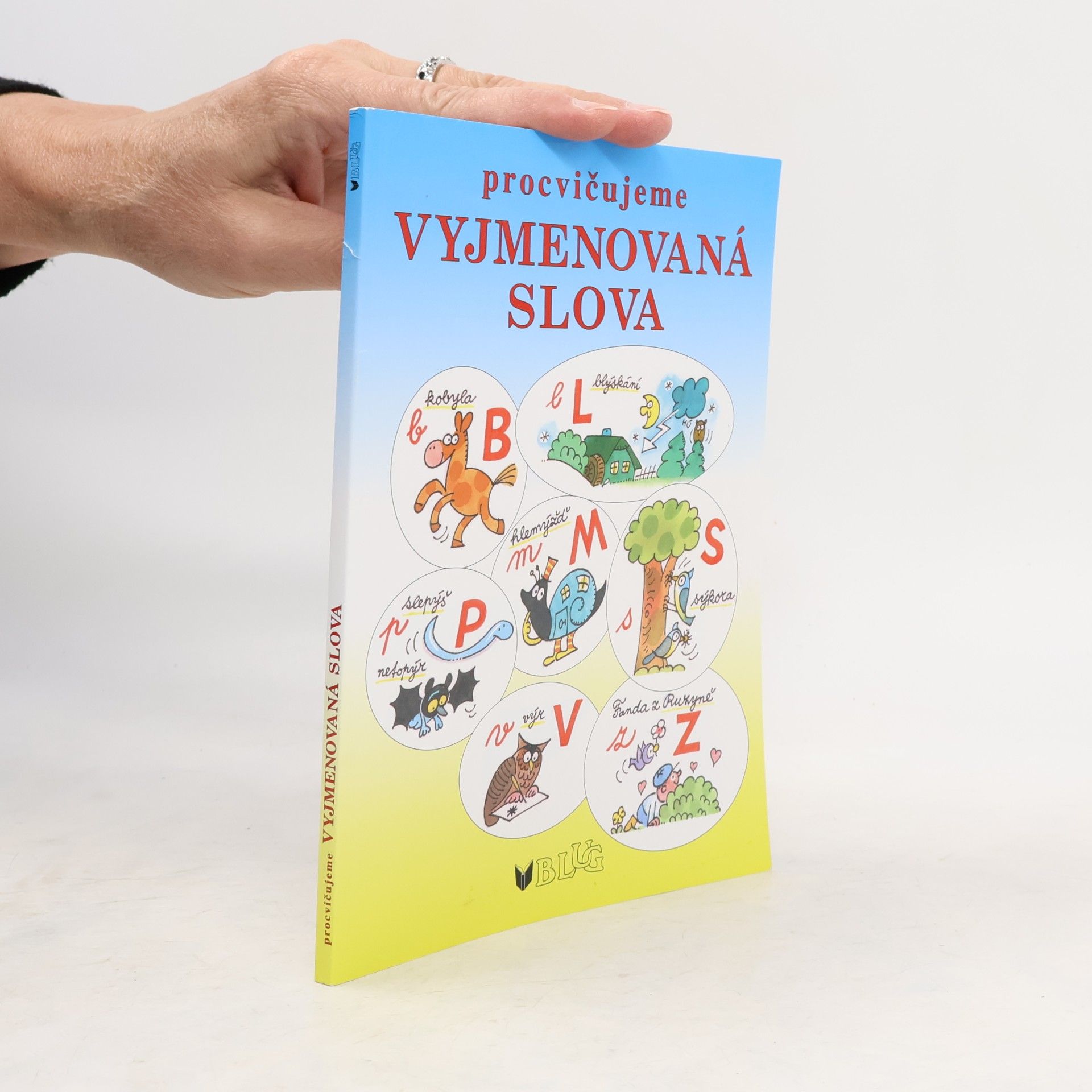 Procvičujeme vyjmenovaná slova - hrajeme si