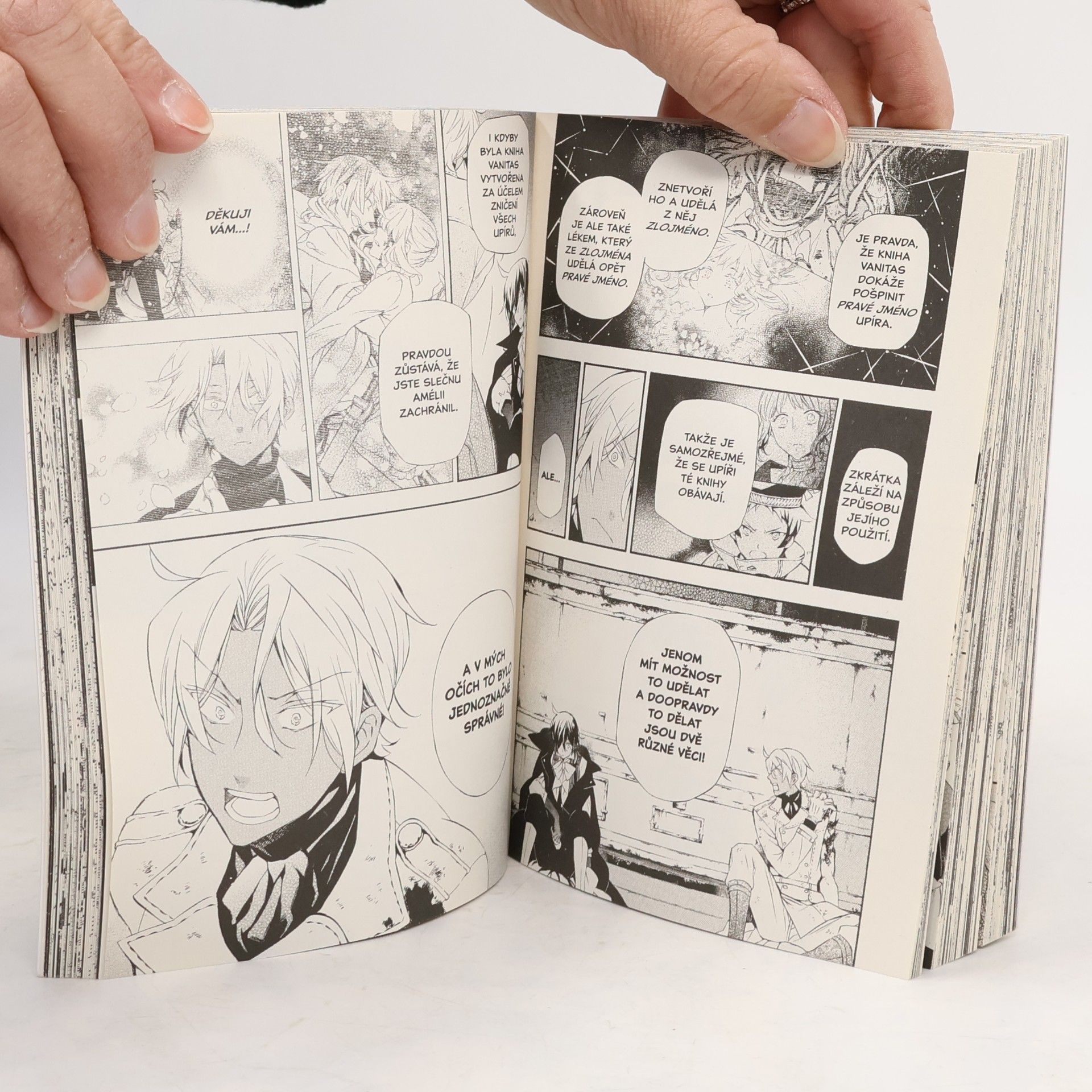 Jun Mochizuki Vanitas 1