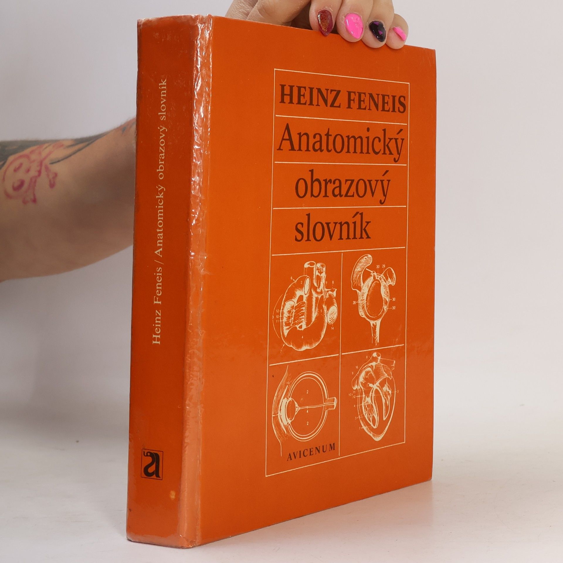 Heinz Feneis Anatomický obrazový slovník