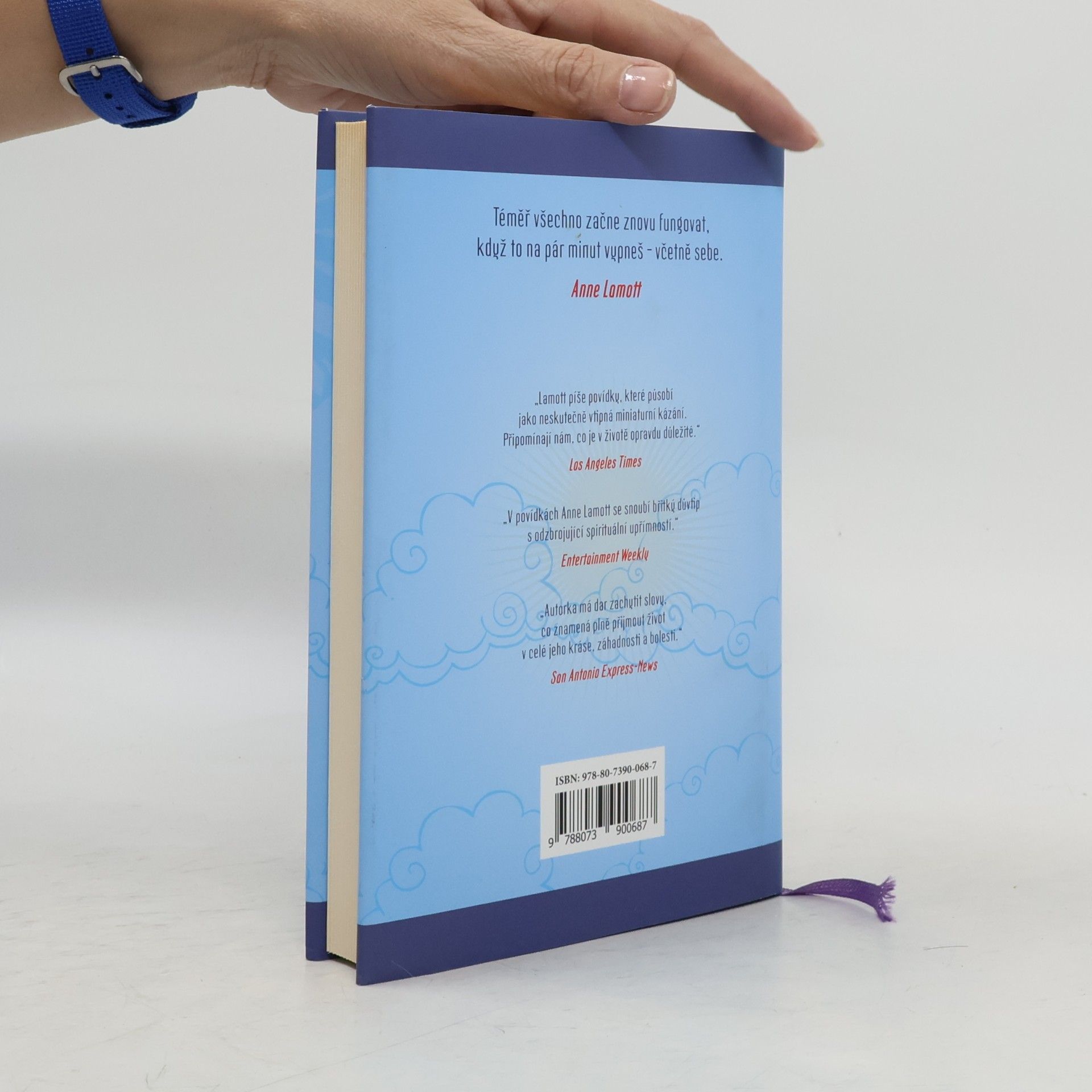 Anne Lamott Malá vítězství
