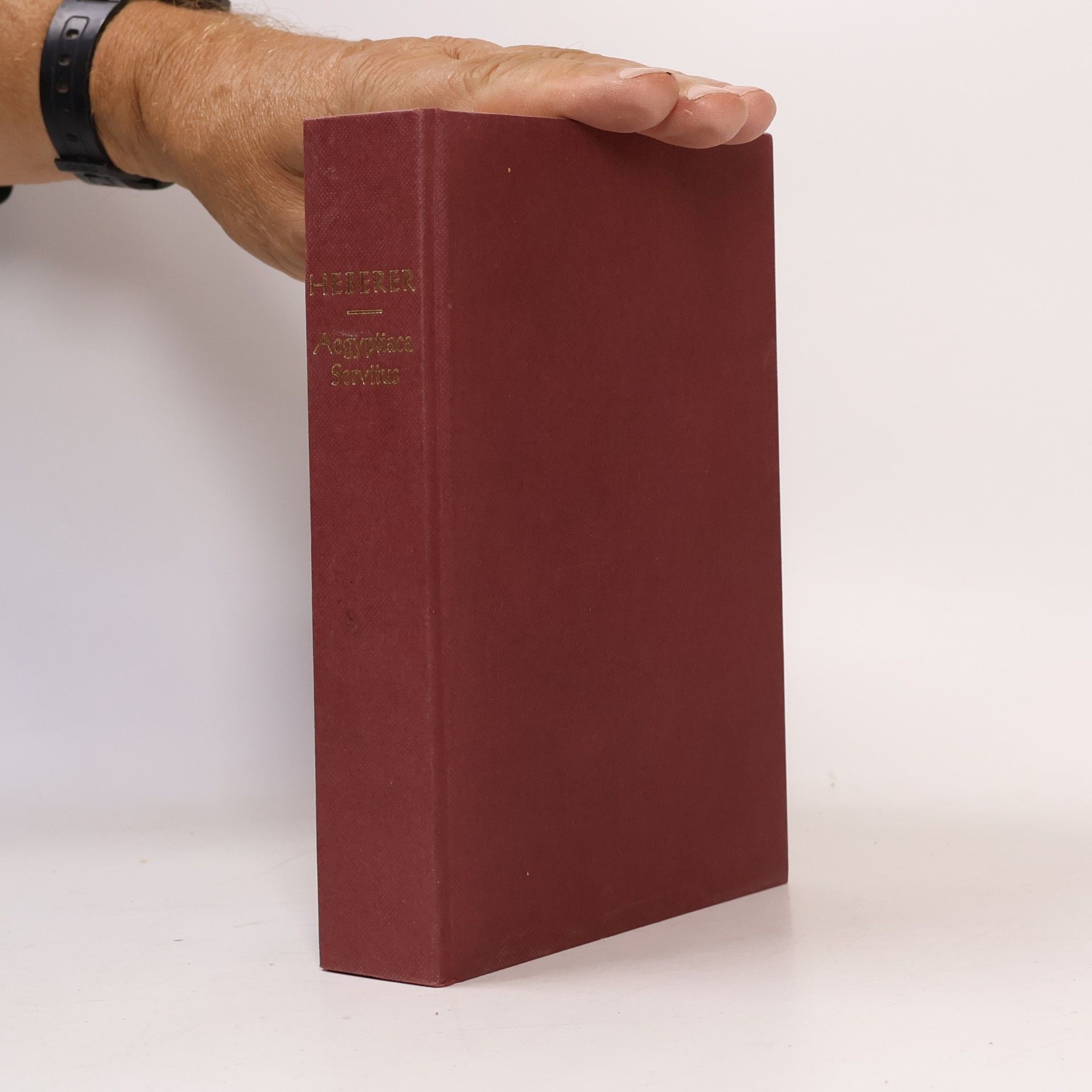 Aegyptiaca Servitus