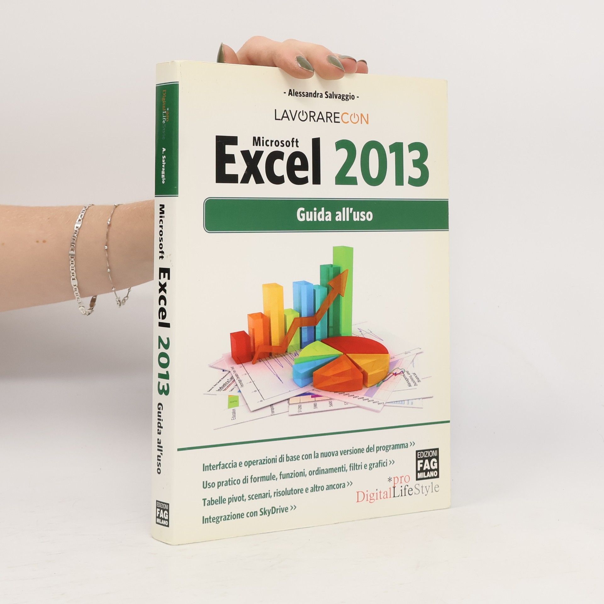 Pro DigitalLifeStyle: Microsoft Excel 2013. Guida all'uso