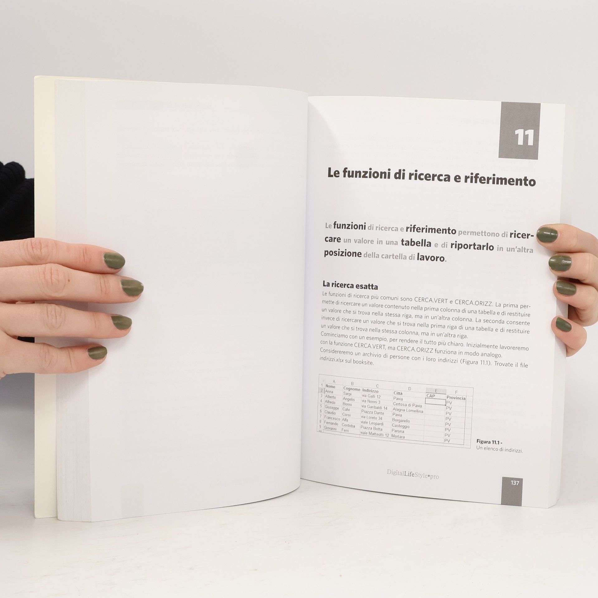 Alessandra Salvaggio Pro DigitalLifeStyle: Microsoft Excel 2013. Guida all'uso