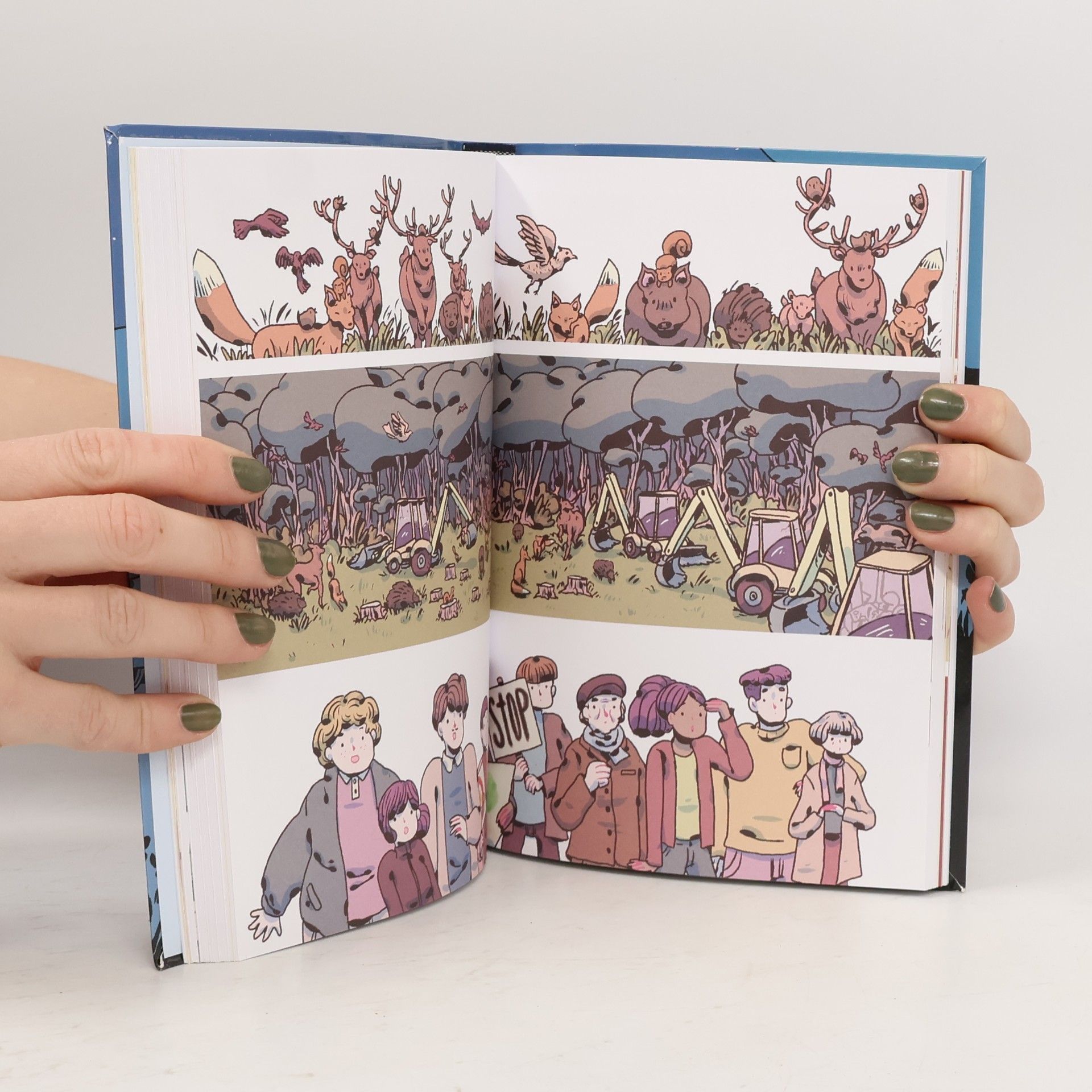 Emilia Cinzia Perri La scommessa del tanuki (Graphic novel)