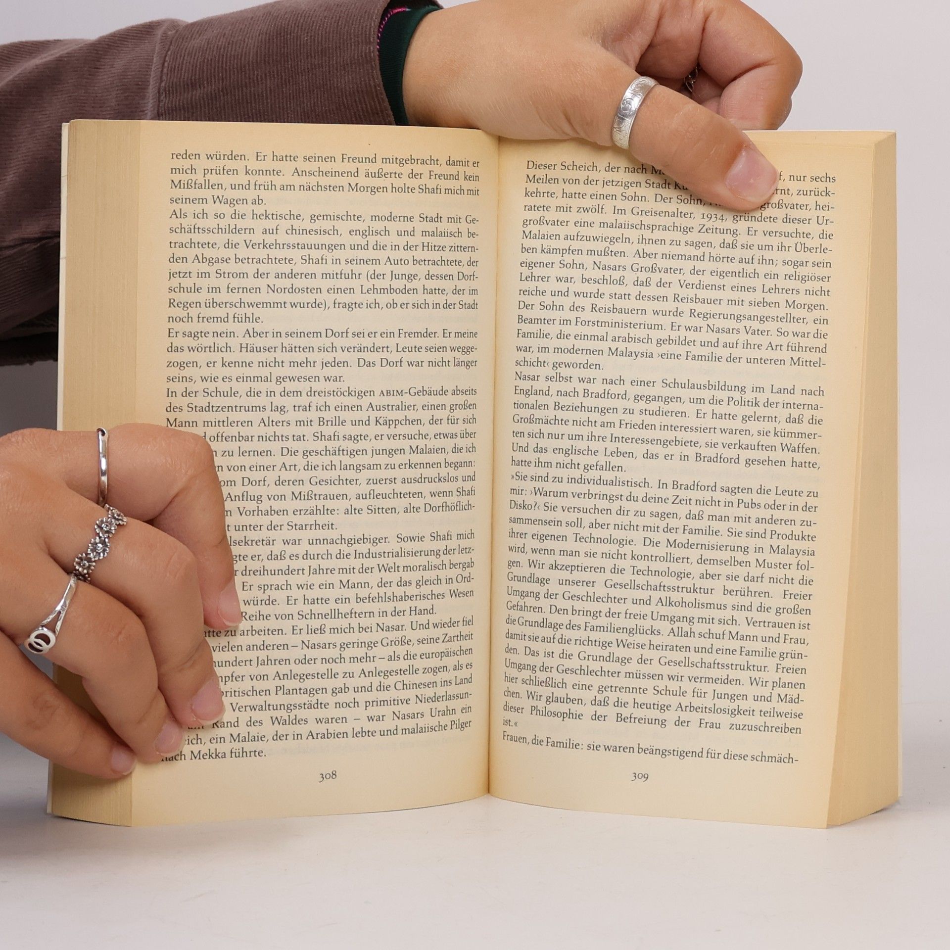 V. S. Naipaul Eine islamische Reise