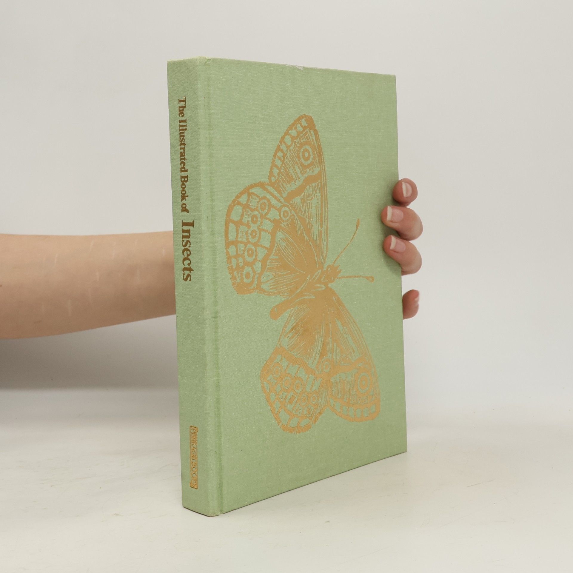 The Illustrated Book of Insects