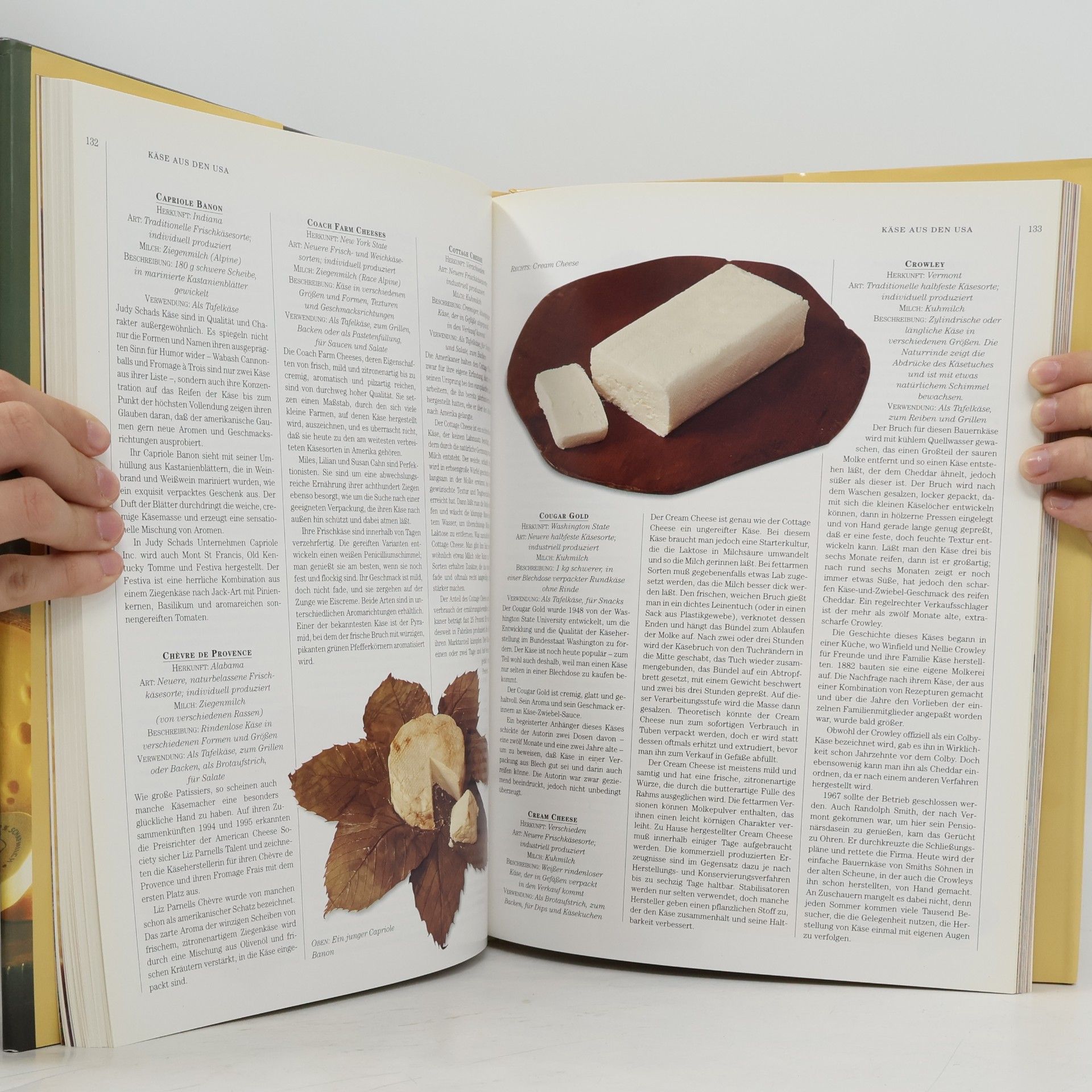 Roz Denny Das große Buch des feinen Geschmacks Käse