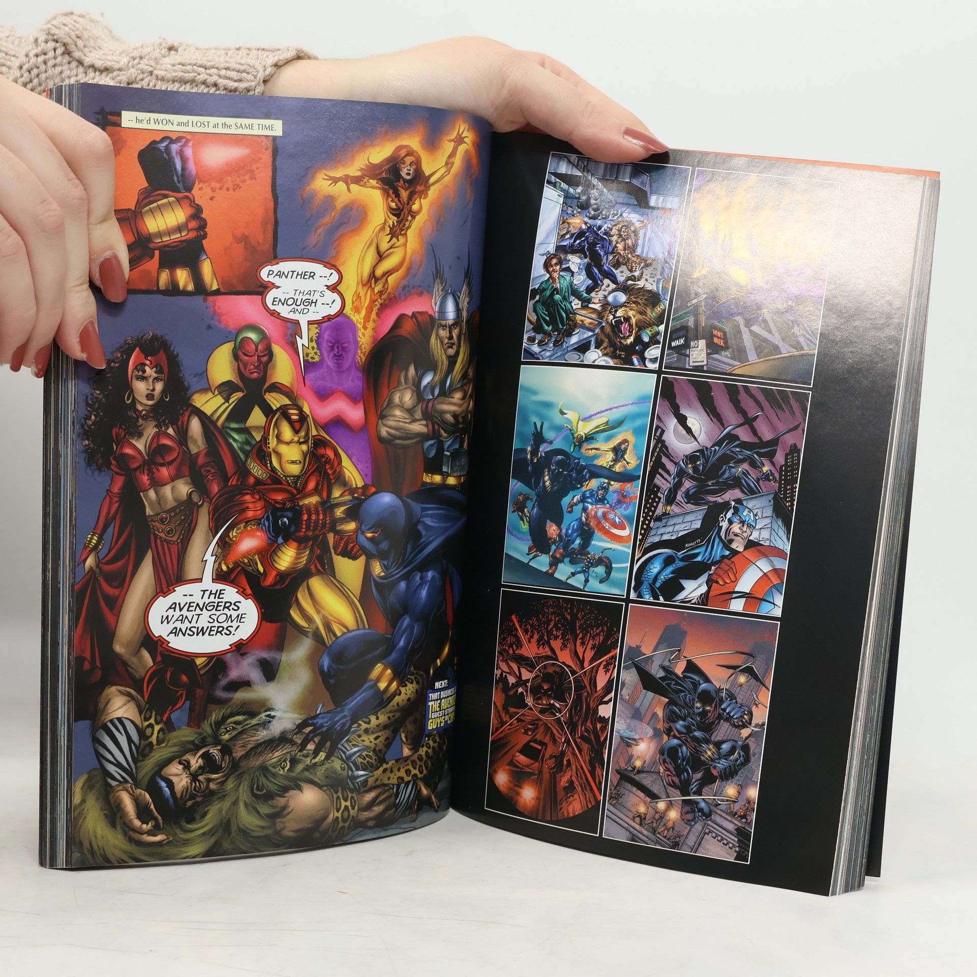 Christopher Priest Black Panther By Christopher Priest: The Complete Collection Volume 1