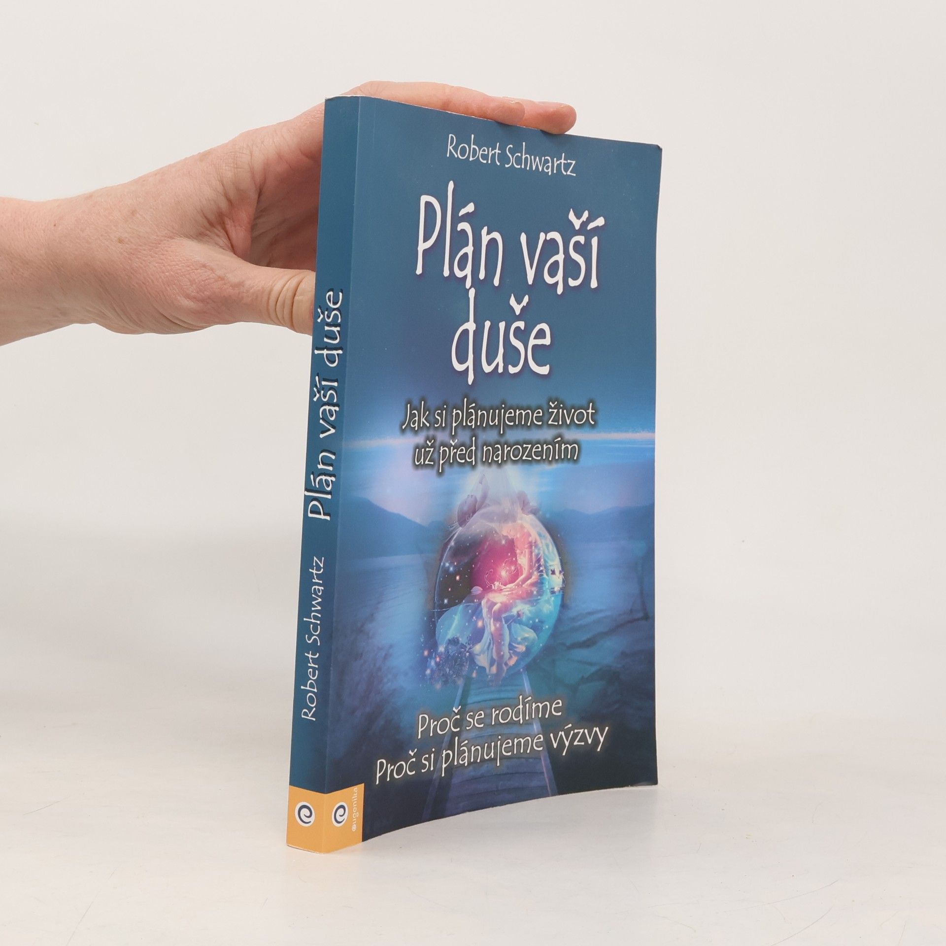 Plán vaší duše. Jak si plánujeme život už před narozením