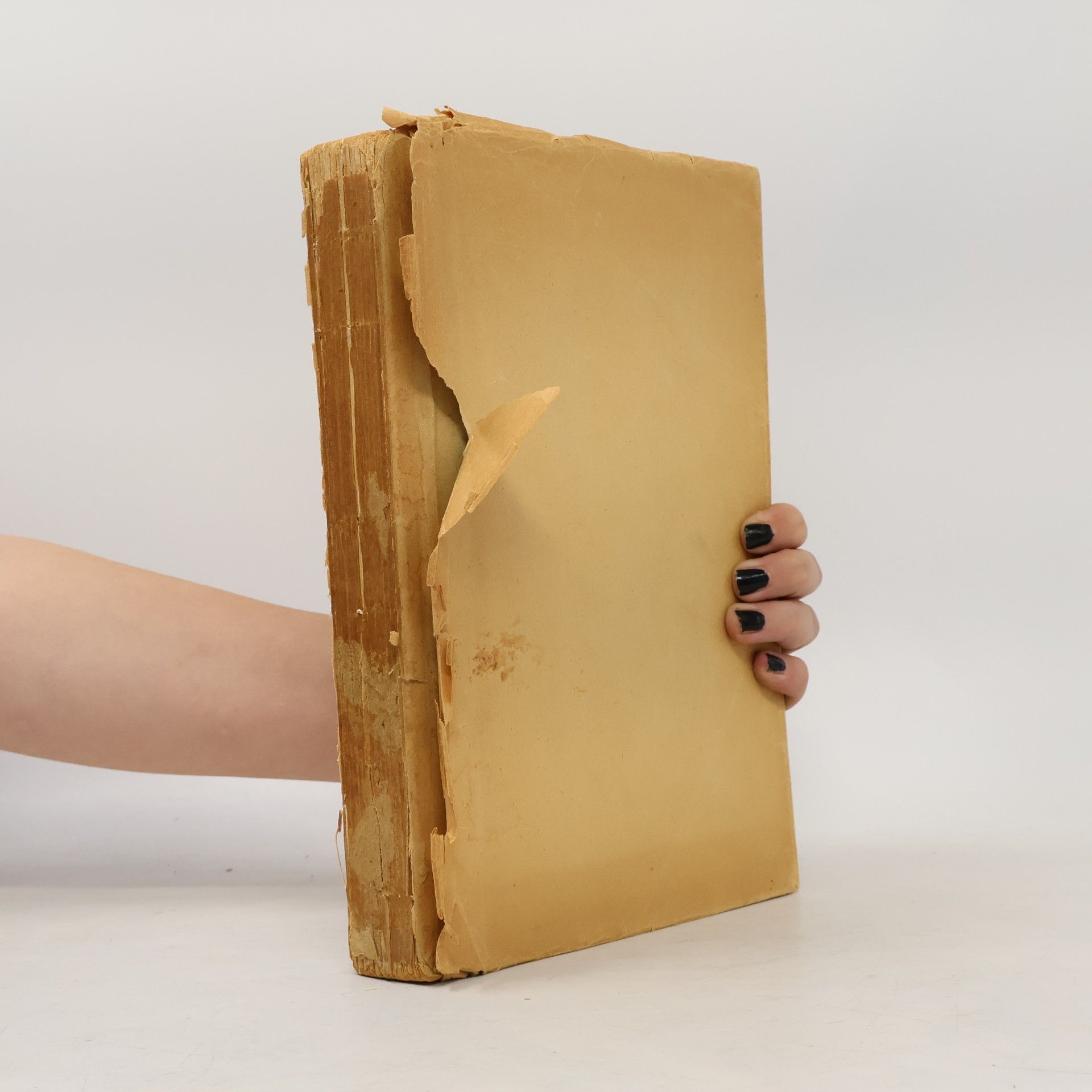 Paul D´Ivoi De overwinnaars van het goud