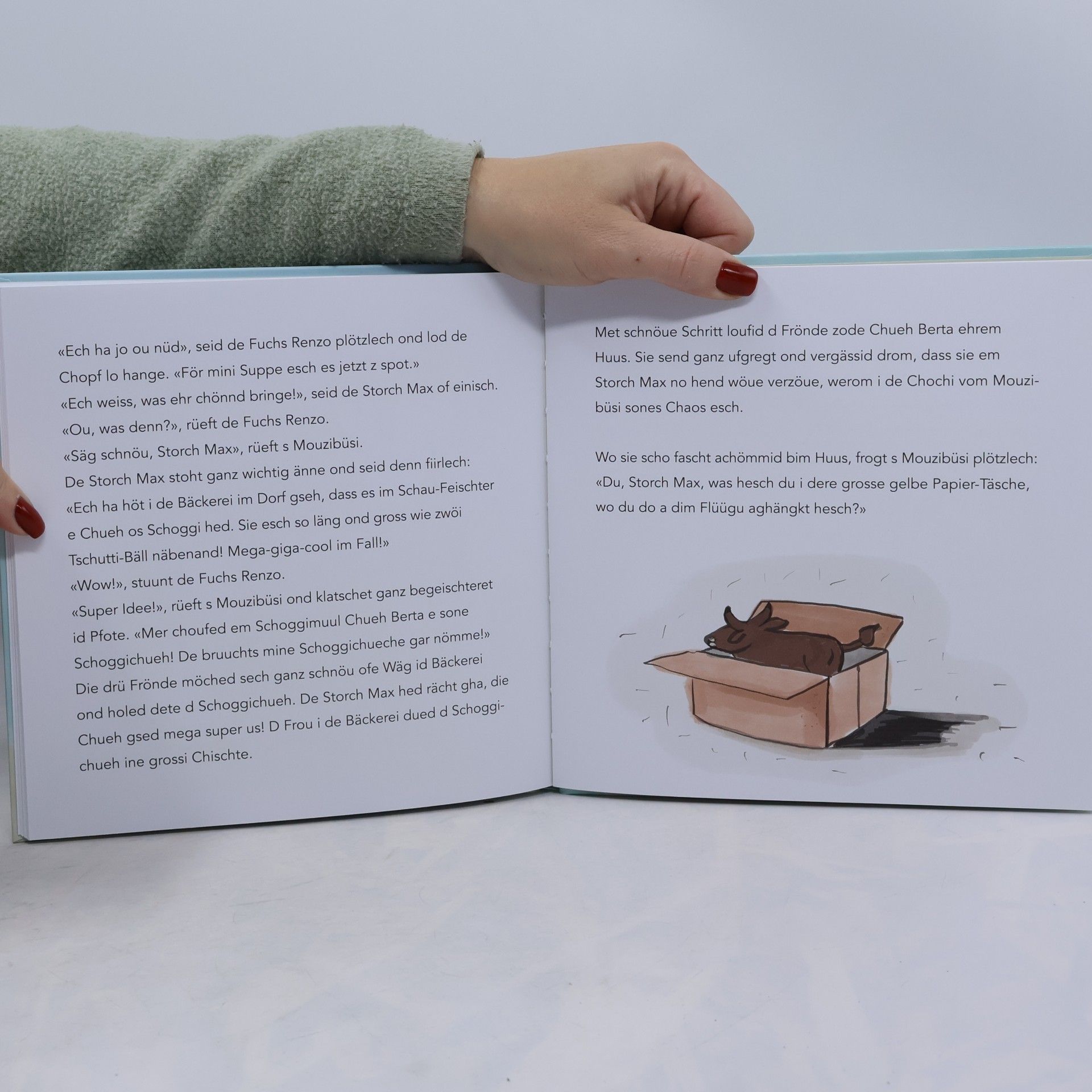 S Mouzibüsi ond s Chaos ide Chochi: Ein Erzählbuch in Mundart