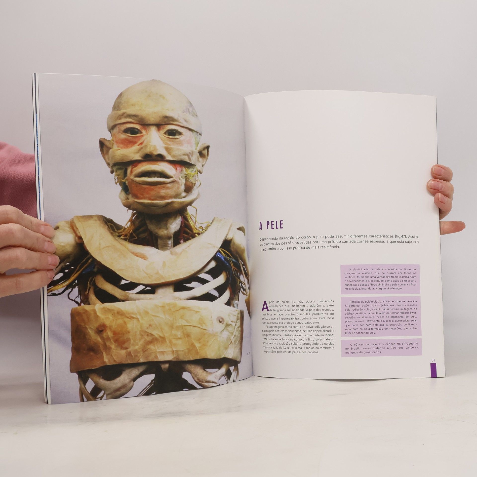 Manuel Schütze Human Bodies