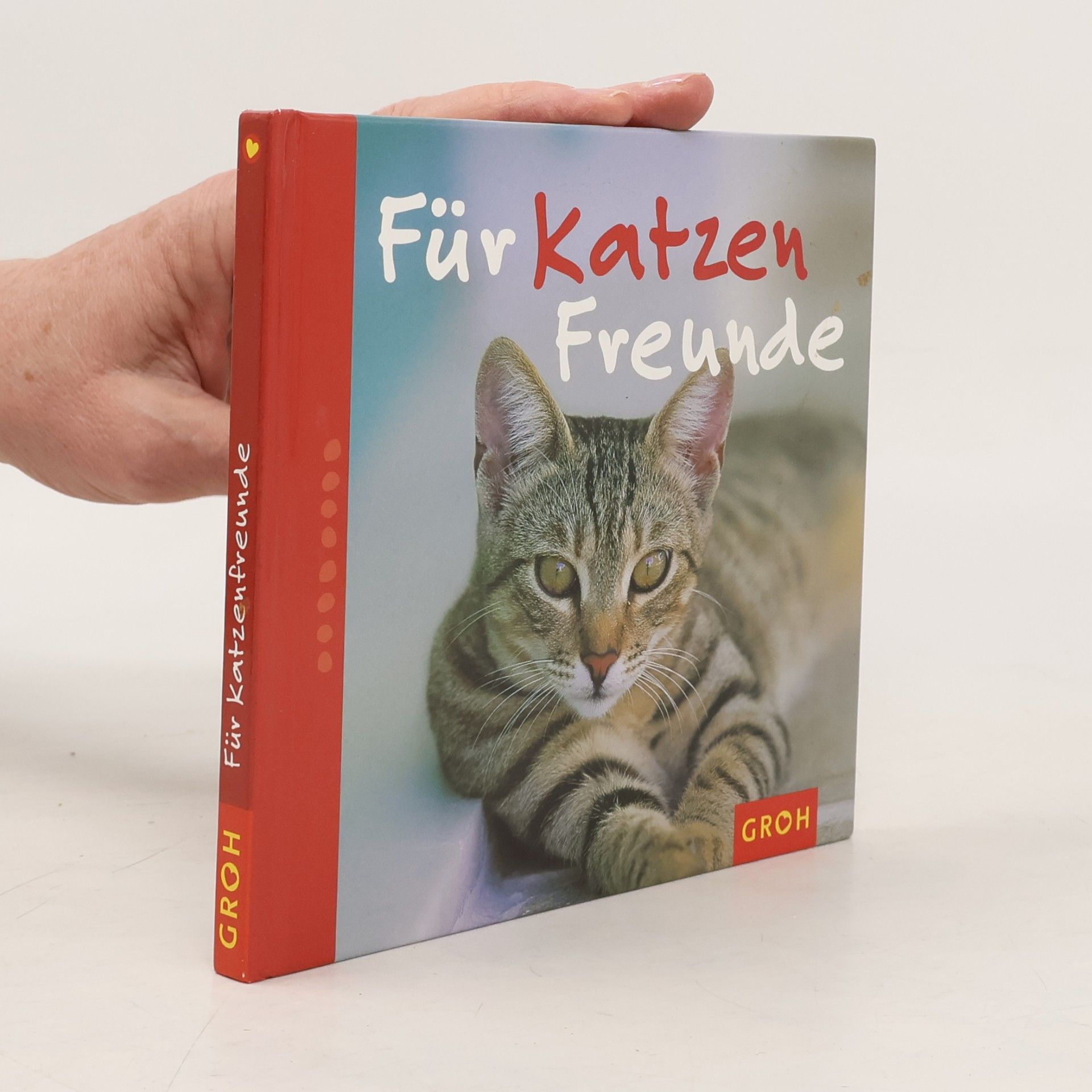 Nina Sandmann Für Katzenfreunde