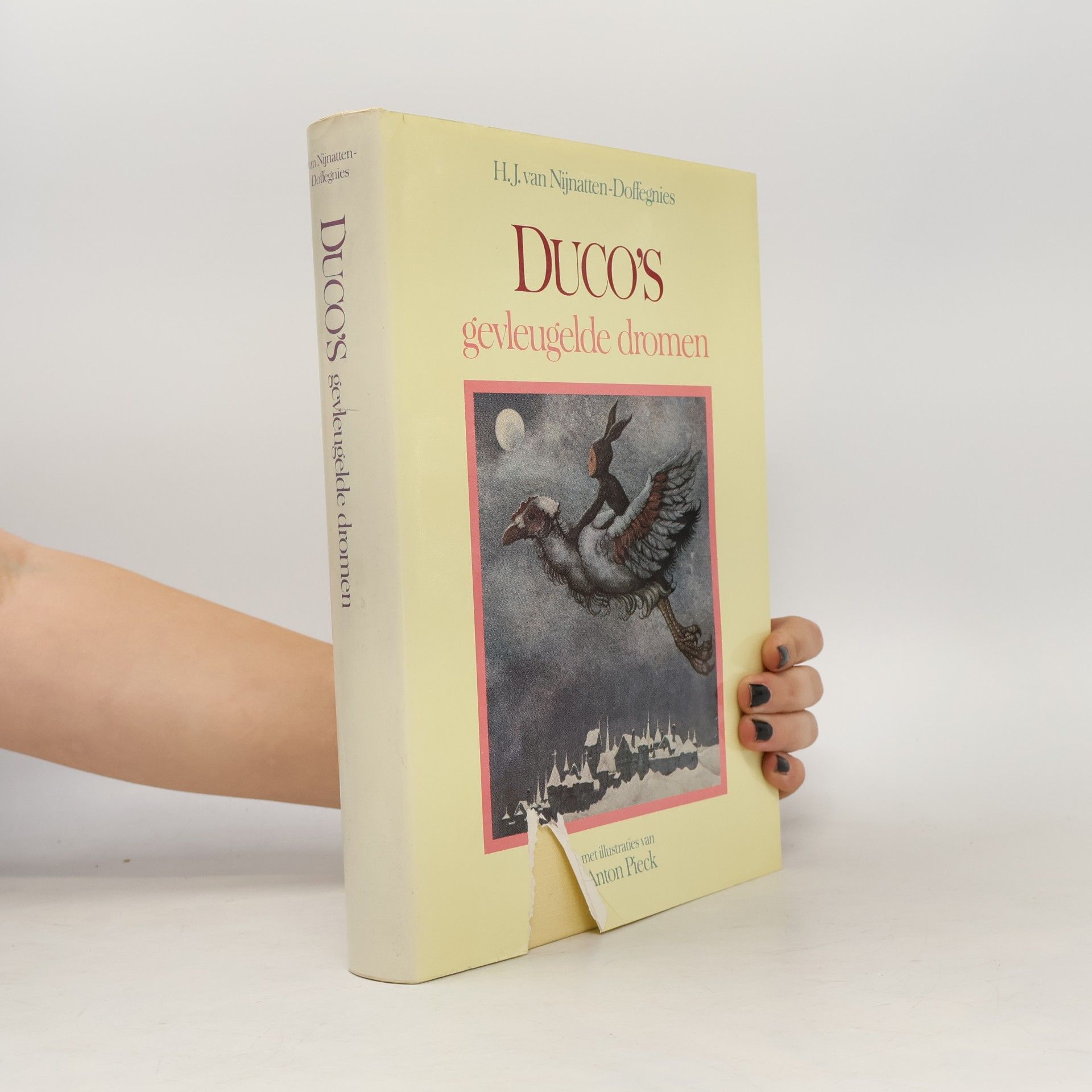 H.J. van Nijnatten-Doffegnies Duco's gevleugelde dromen