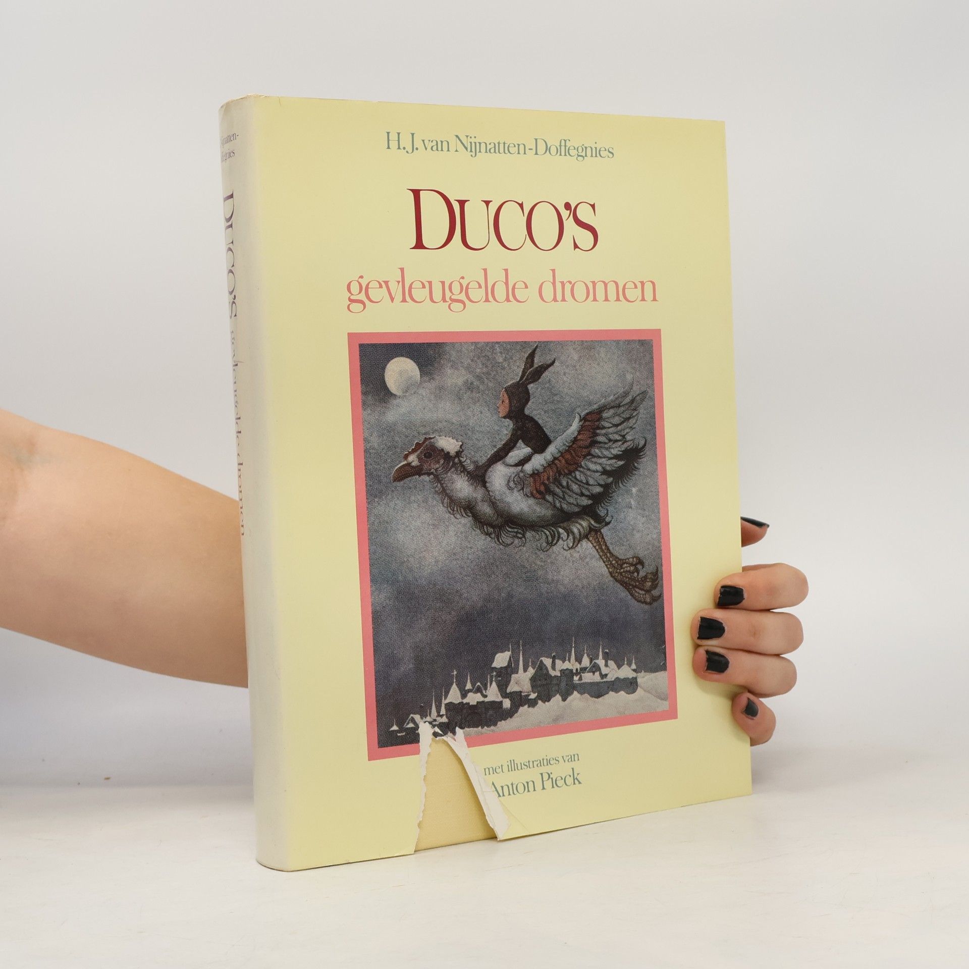 H.J. van Nijnatten-Doffegnies Duco's gevleugelde dromen