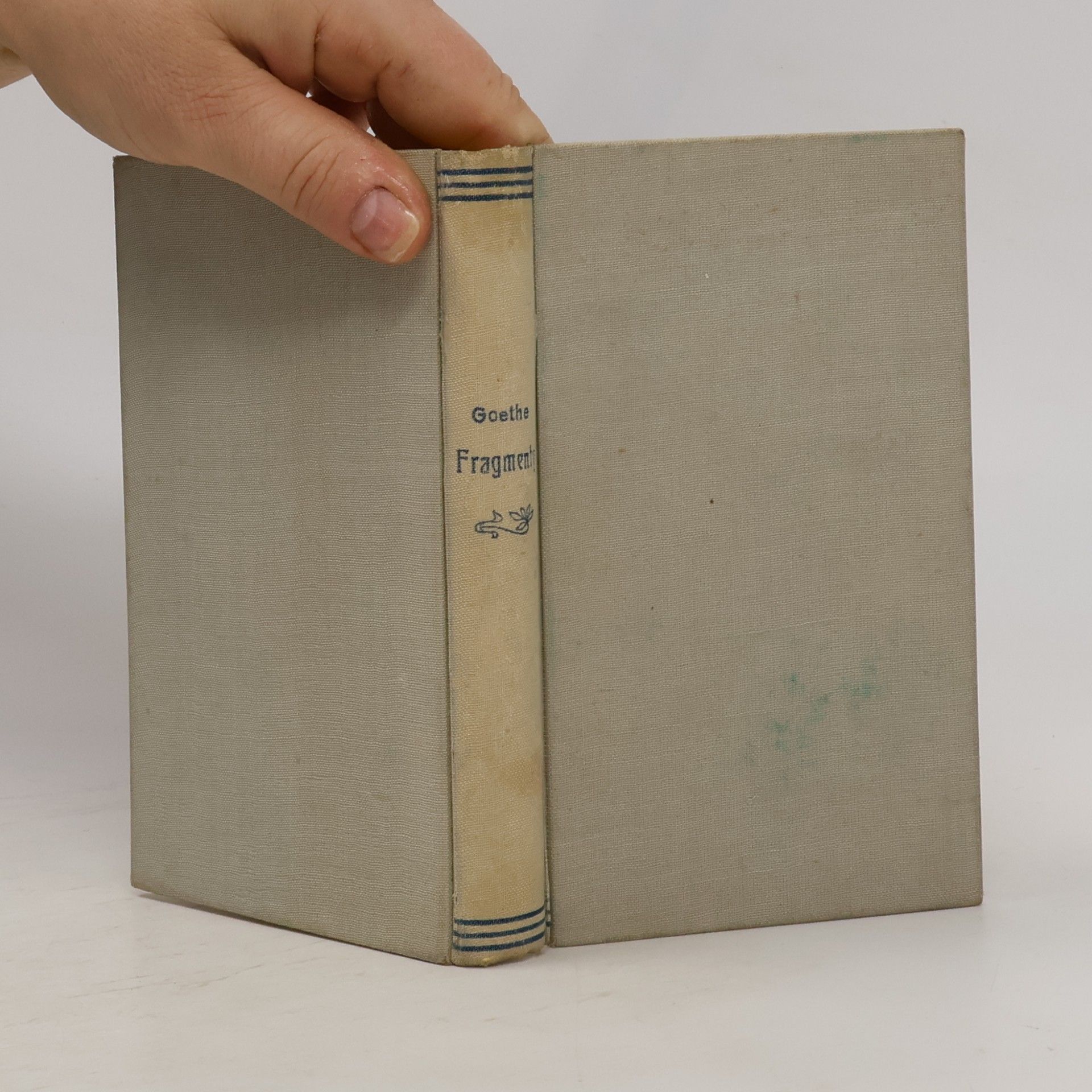 J. W. Goethe Fragmenty