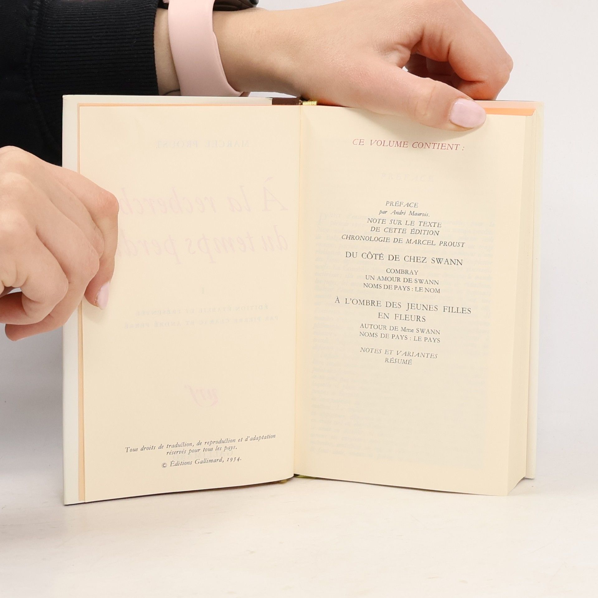 Marcel Proust A la recherche du temps perdu 1