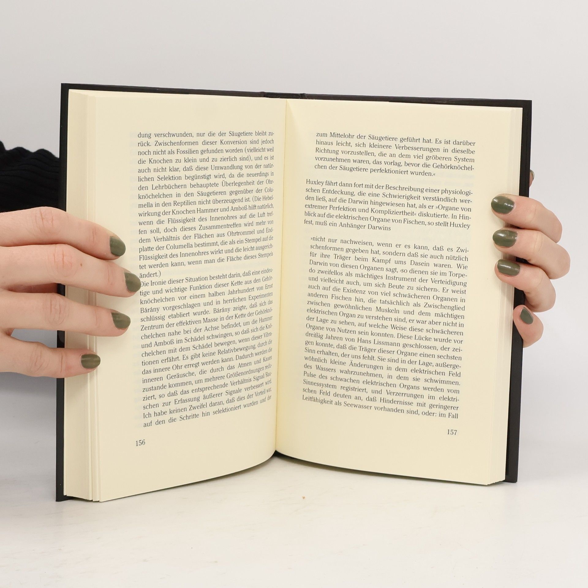 Robert J. Berry Adam und der Affe