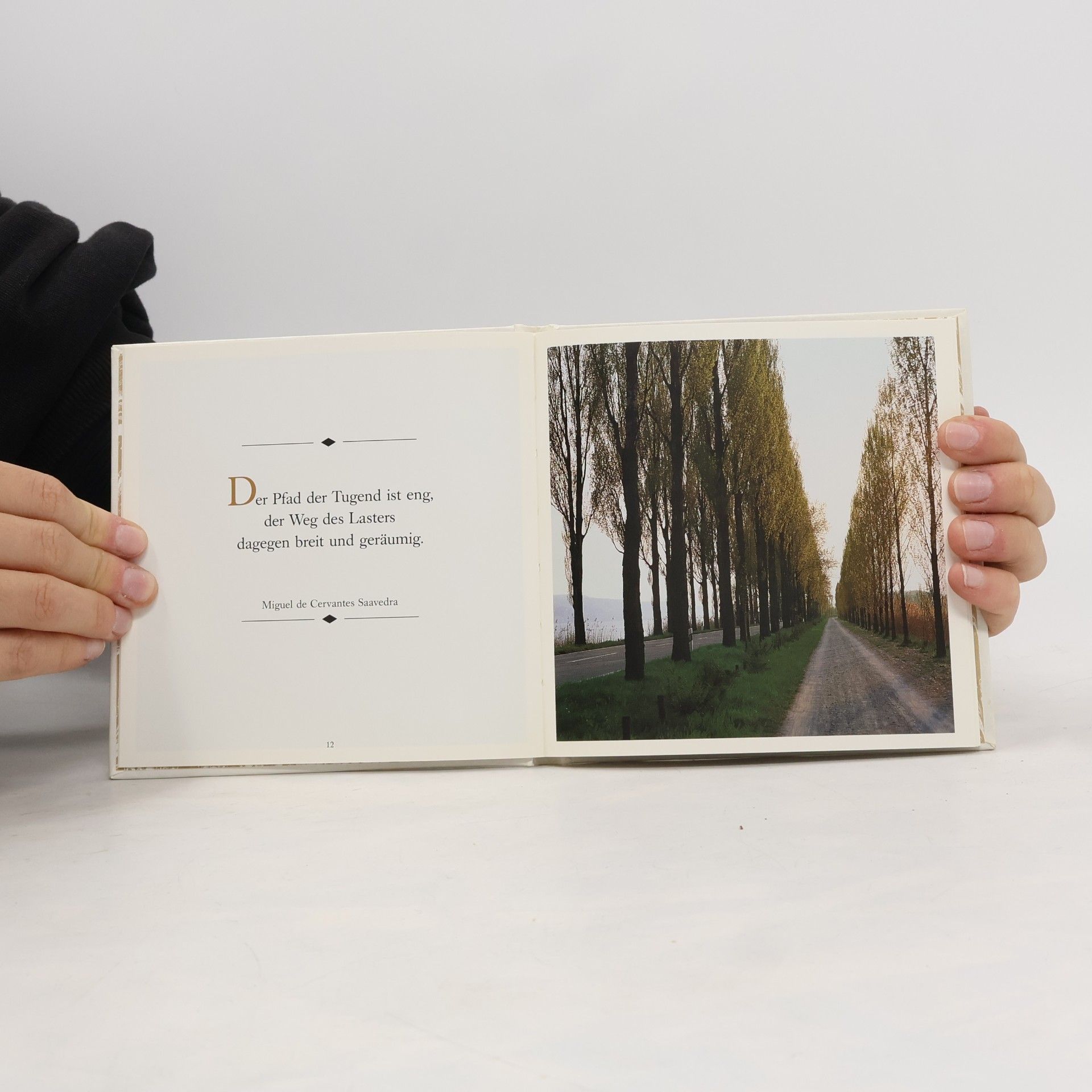 Various authors Geduld wird alle Wege ebnen